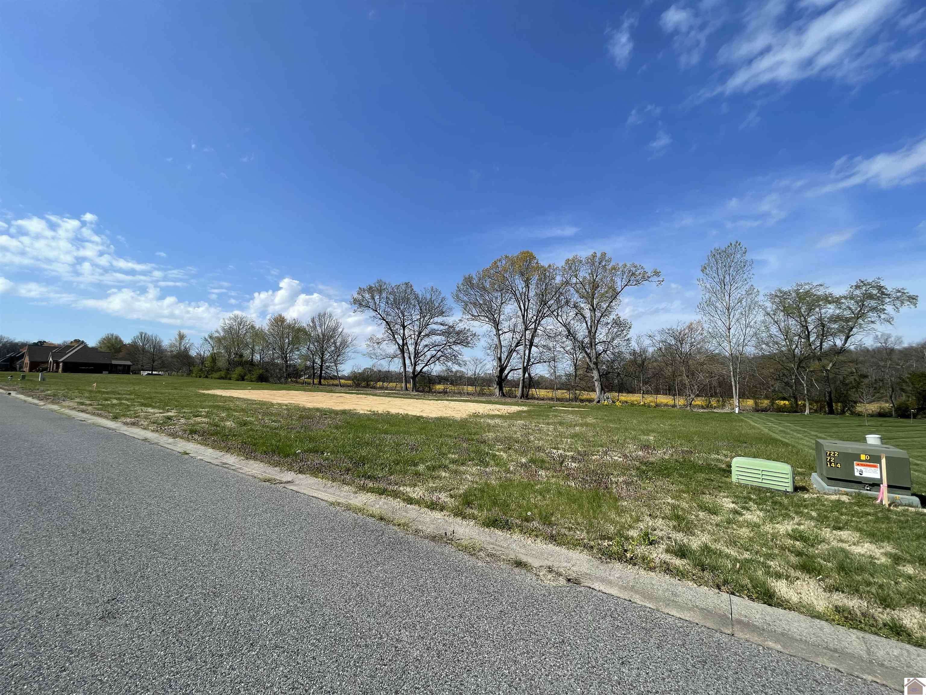 Murray, KY 42071,Lot 50 Belle Meade Drive