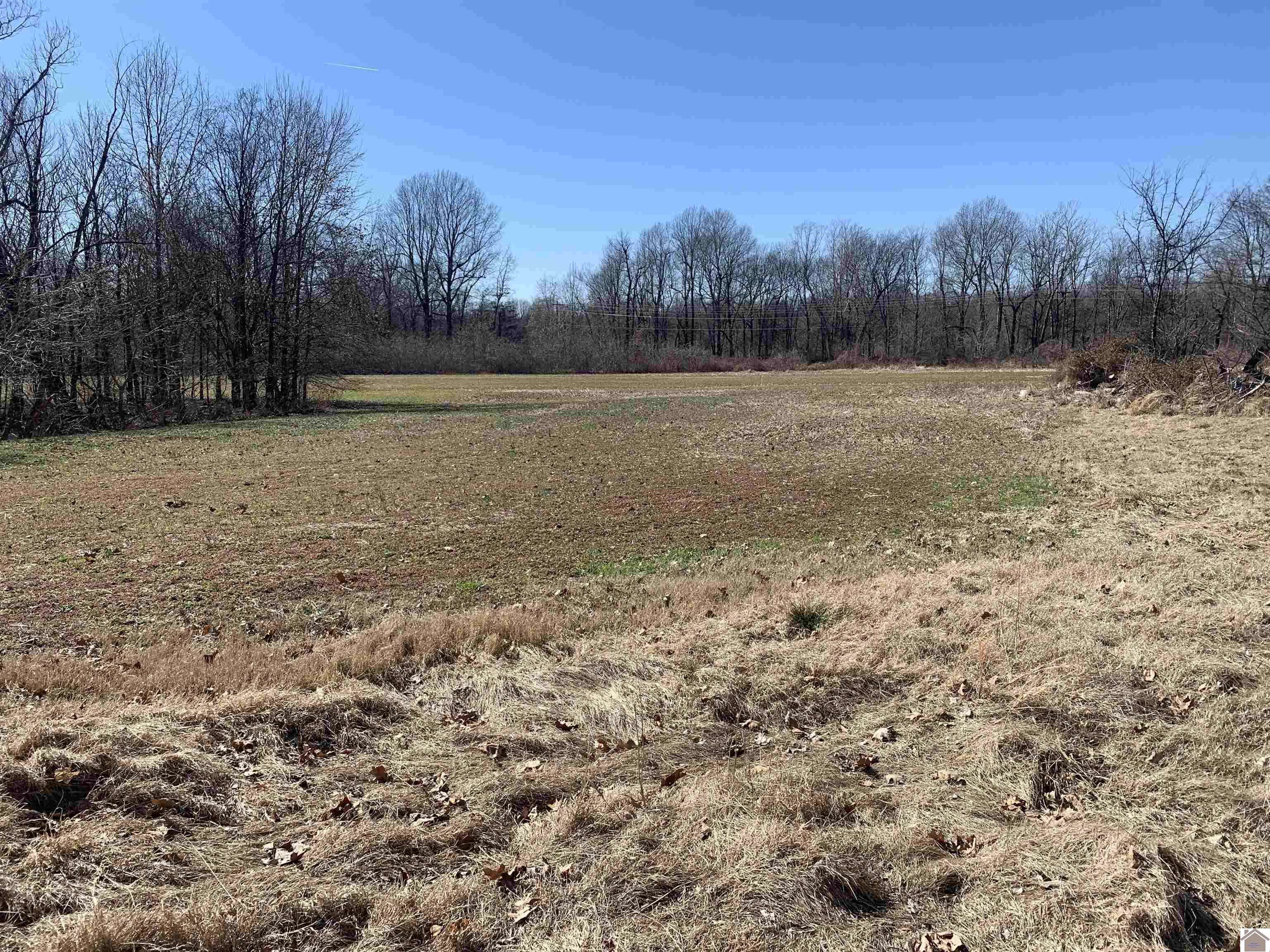 West Paducah, KY 42086,Tract D Old U. S. Highway 60 West