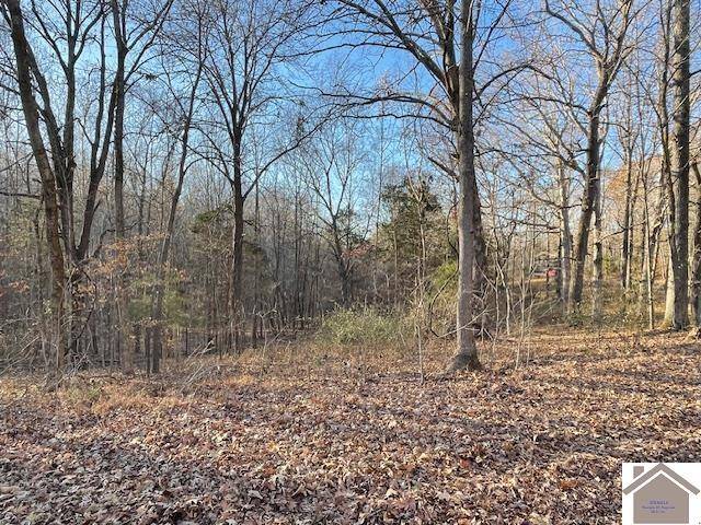 Cadiz, KY 42211,1-6,14-16 Pines Circle