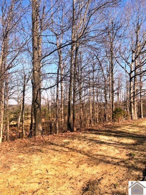 Paducah, KY 42003,Lot 86 Forest Ridge Dr