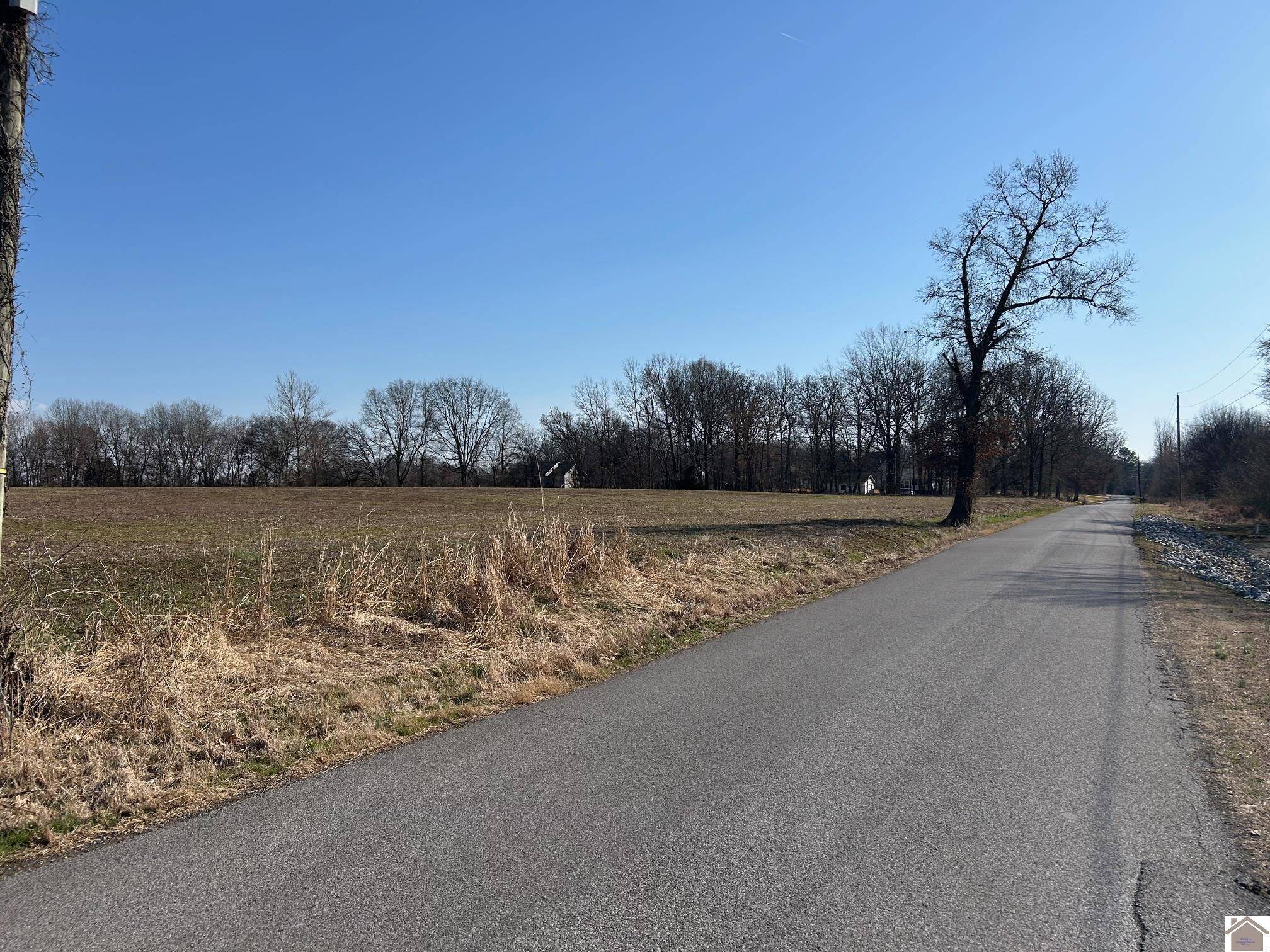 Almo, KY 42020,000 North Drive