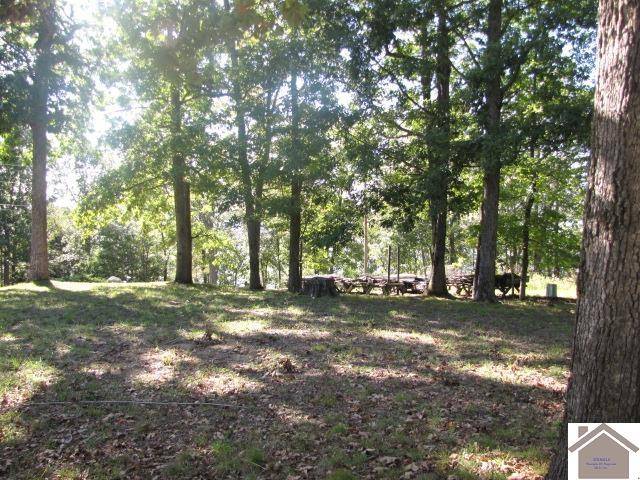 Eddyville, KY 42038,00 Parkersville Rd