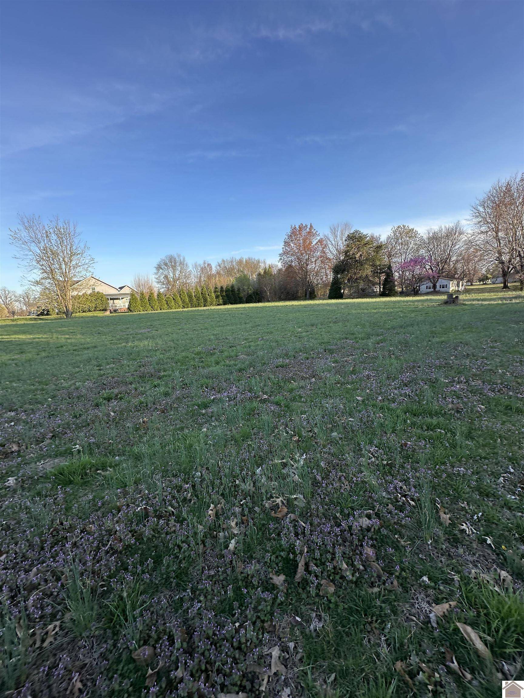 West Paducah, KY 42001,7080 Old Hinkleville Rd