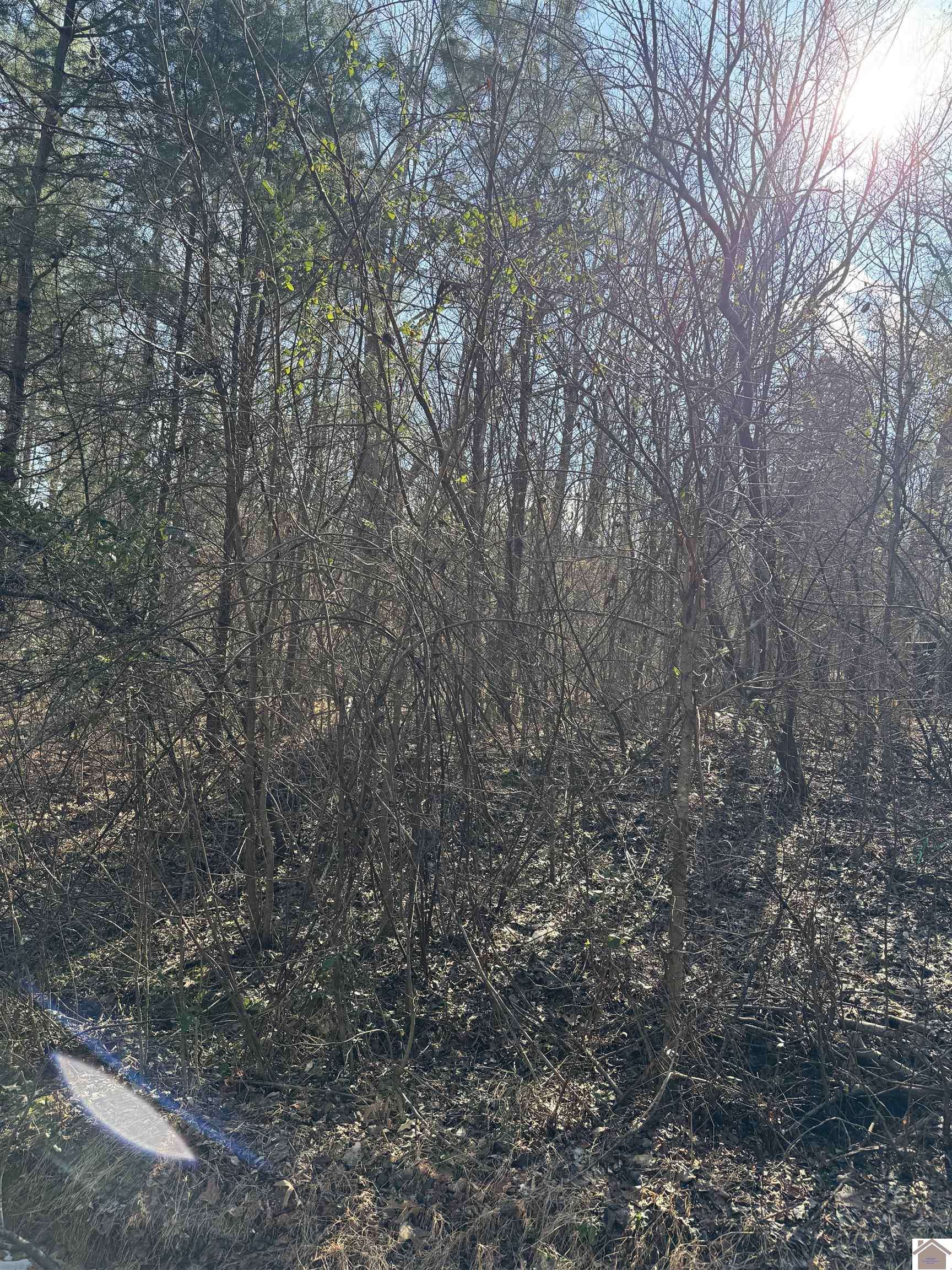 Murray, KY 42071,00 Mazurek Circle