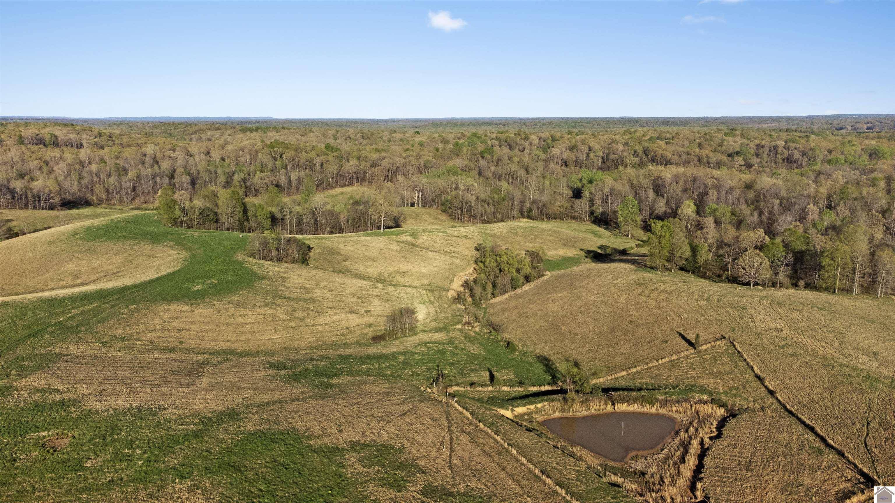 Grand Rivers, KY 42045,000 Paradise Rd