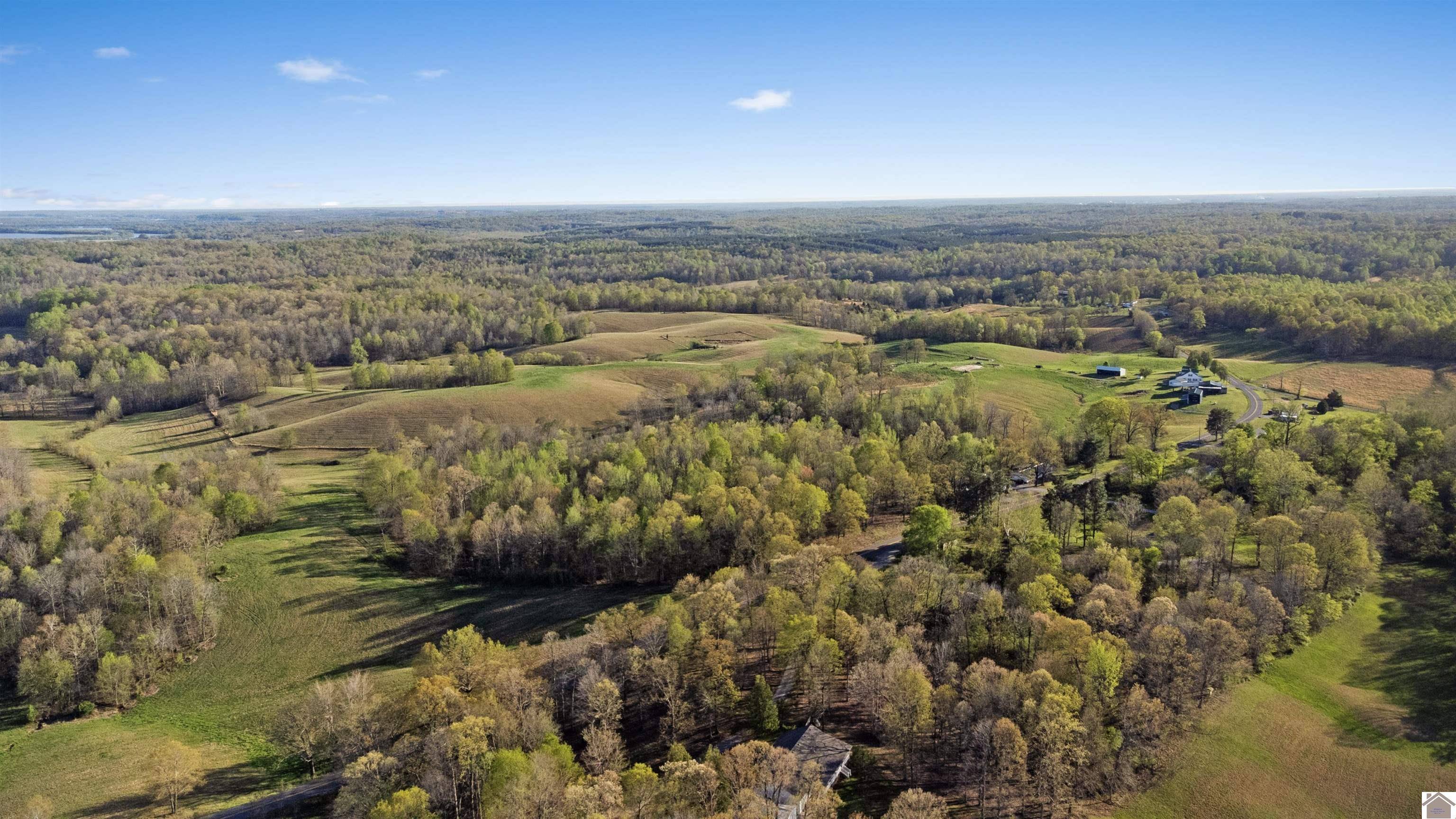 Grand Rivers, KY 42045,000 Paradise Rd