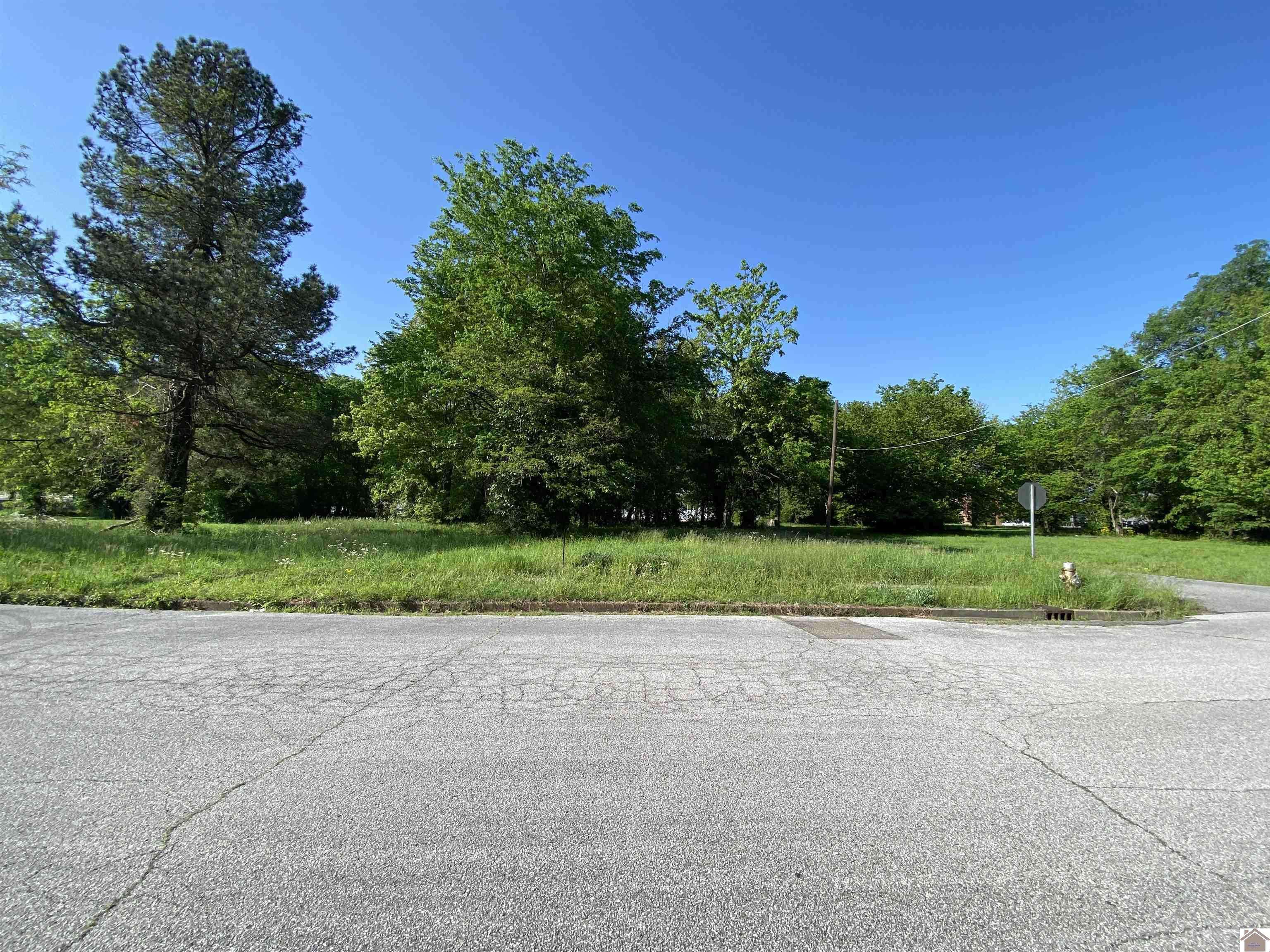 Paducah, KY 42001,921-923 N 7th