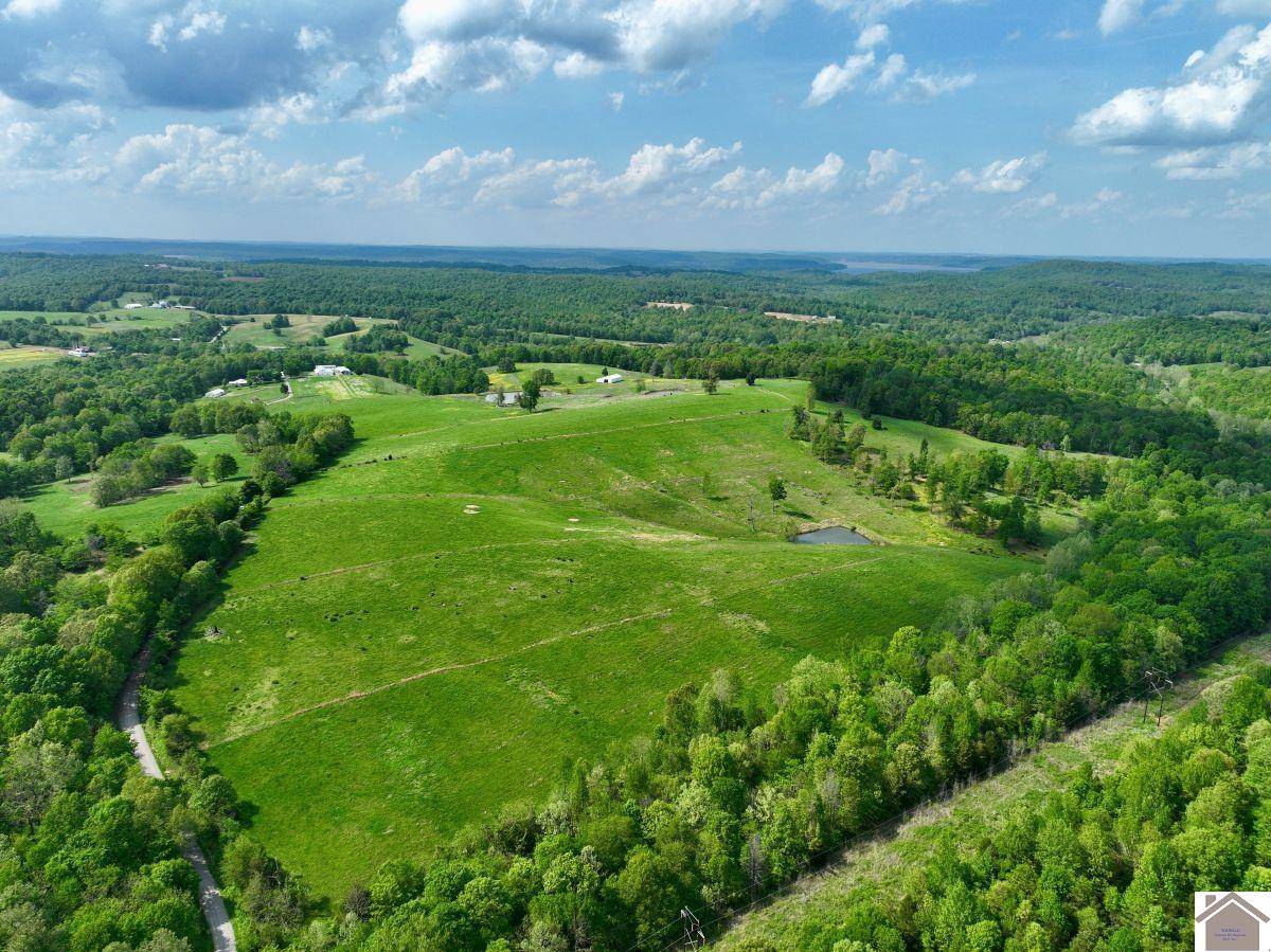 Marion, KY 42064,1340 Roe Wafford Road