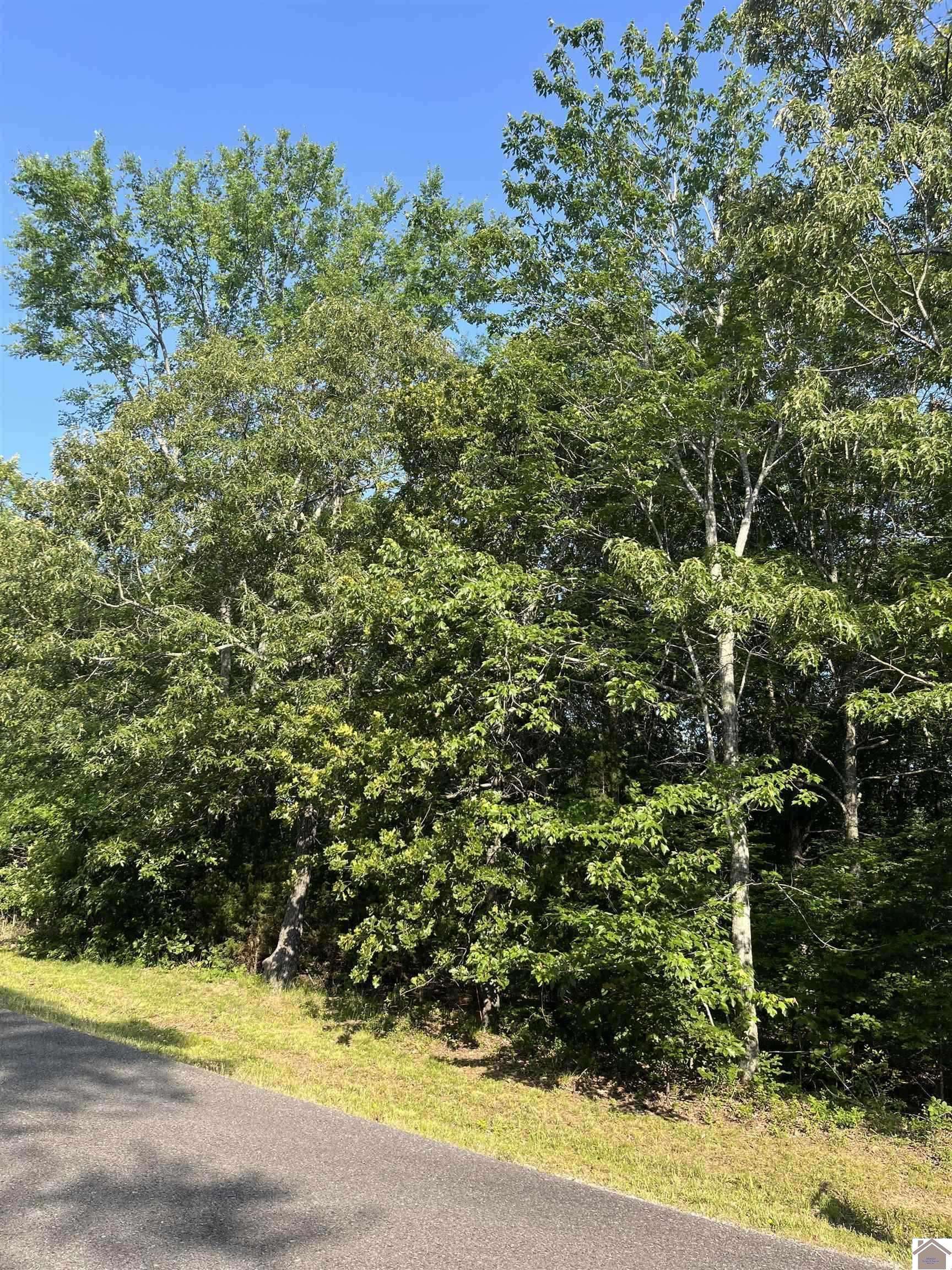 Murray, KY 42071,97 Weekend Lane
