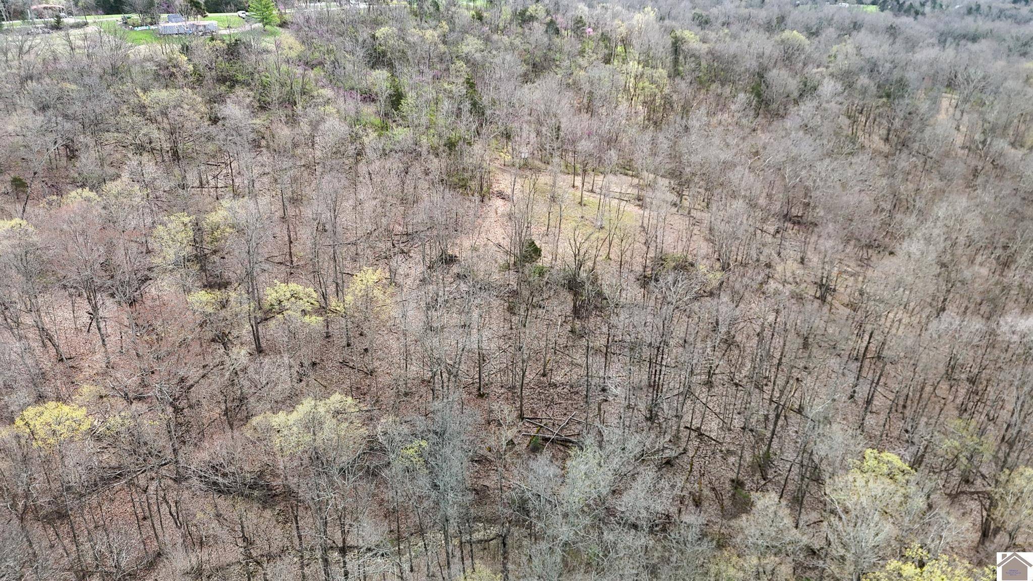 Other, KY 41044,4077 Justin Scott Lane