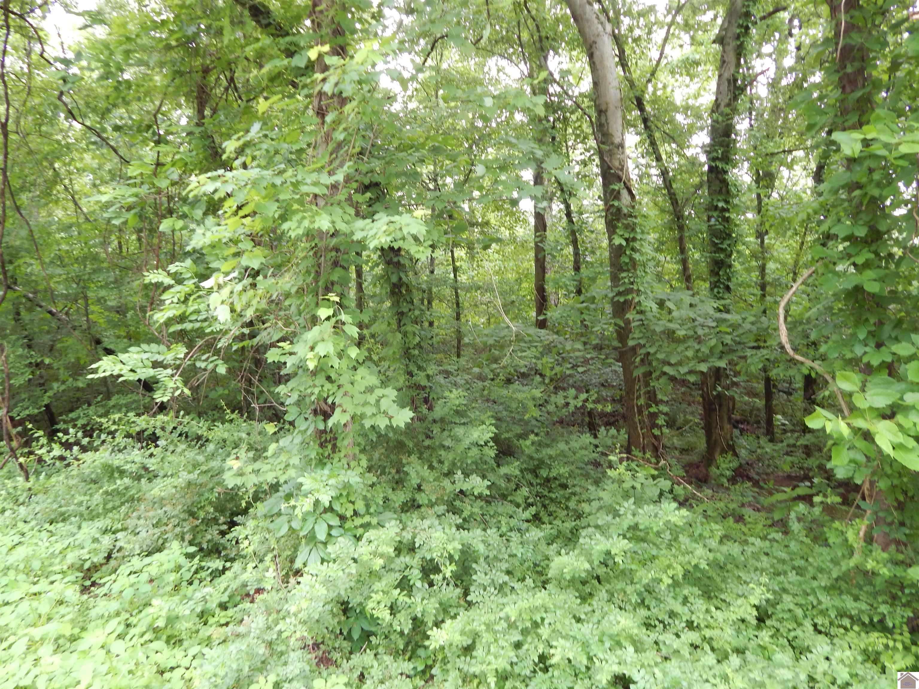 Benton, KY 42025,00 Tatumsville Hwy