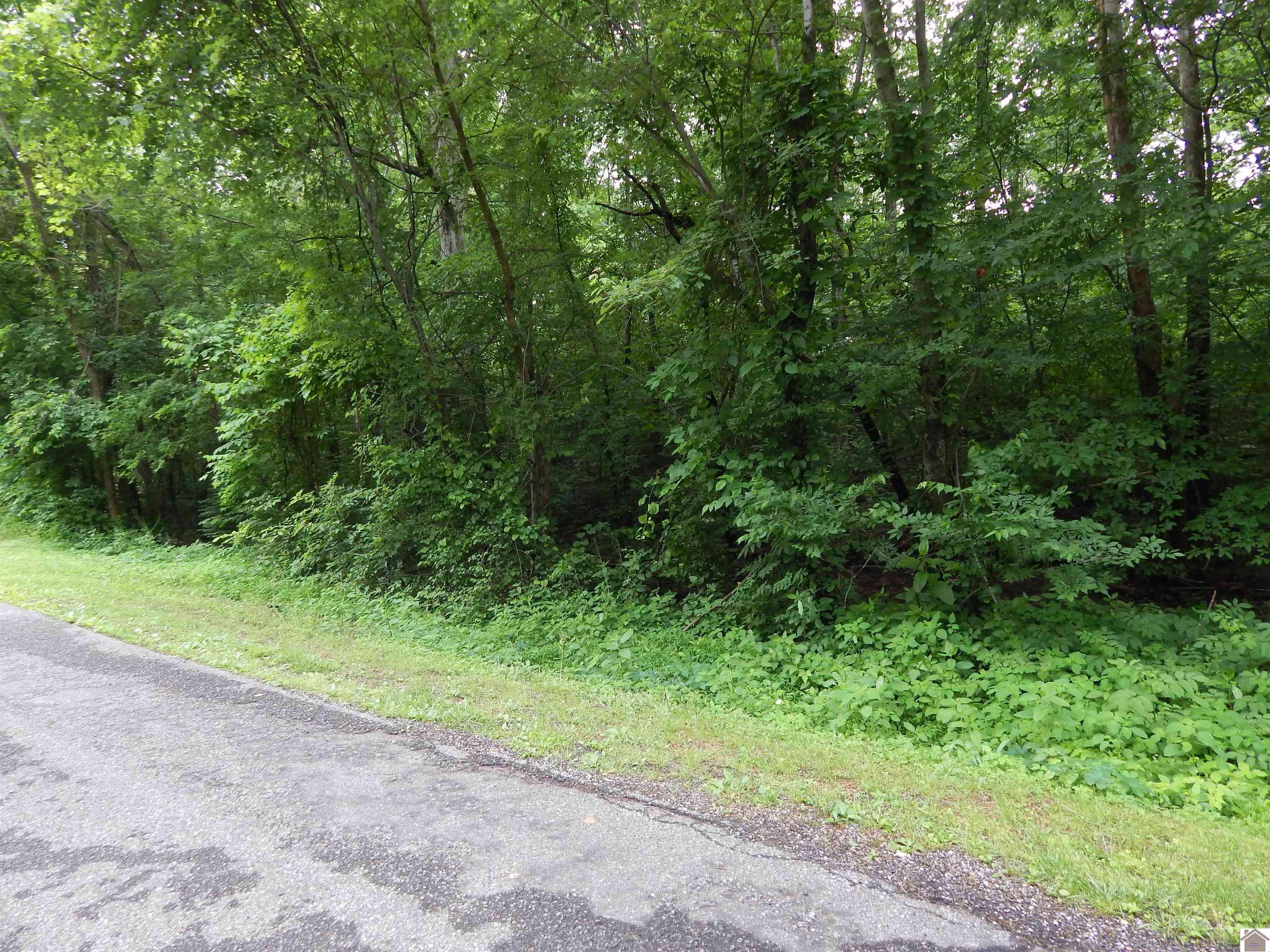 Benton, KY 42025,00 Tatumsville Hwy