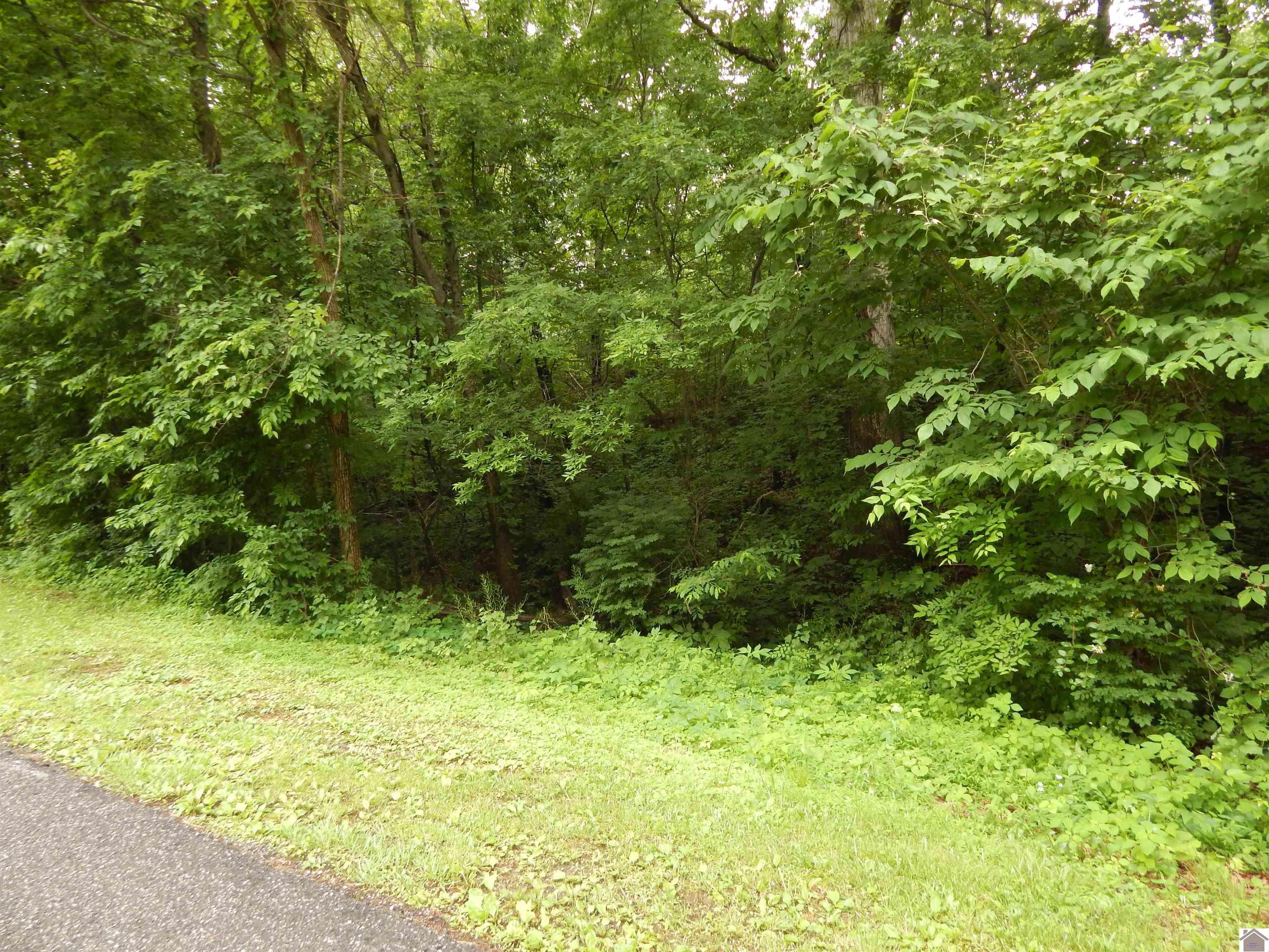 Benton, KY 42025,00 Tatumsville Hwy