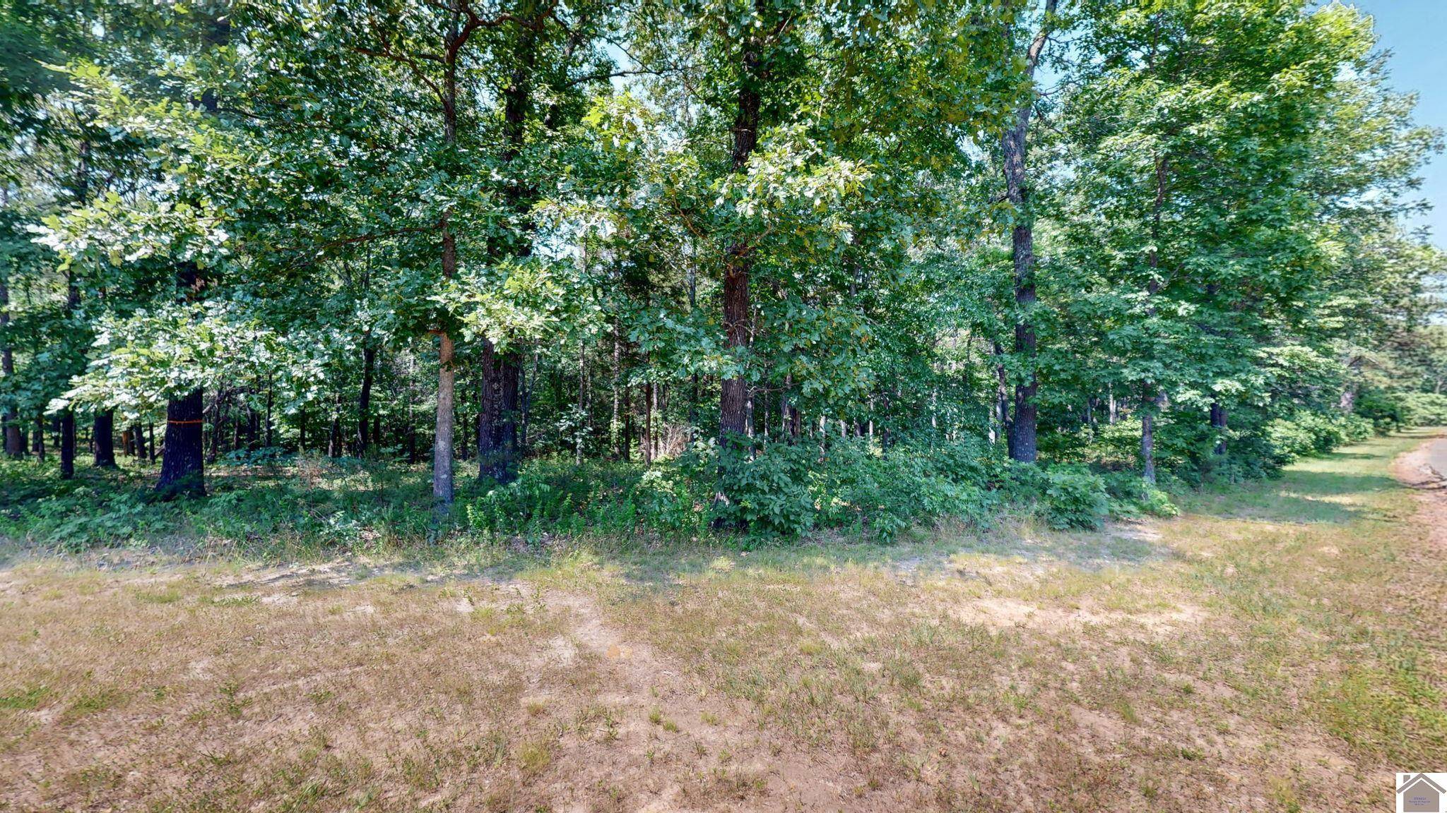 Murray, KY 42071-0000,00 Streetland Ln