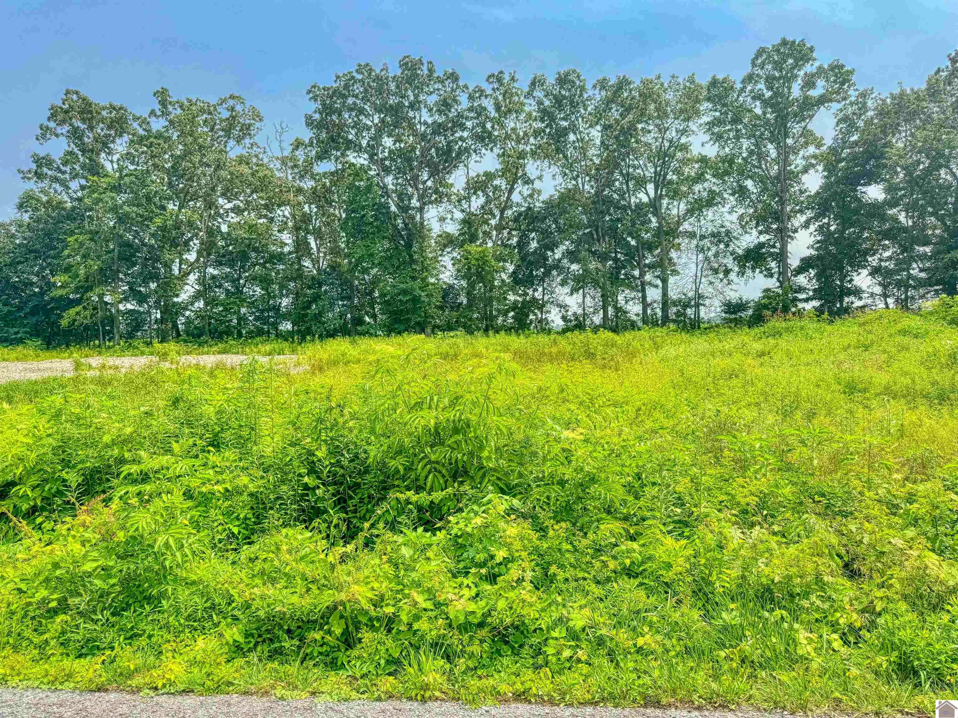 Murray, KY 42071,Lots 26, 27, 28 Oakwood Circle