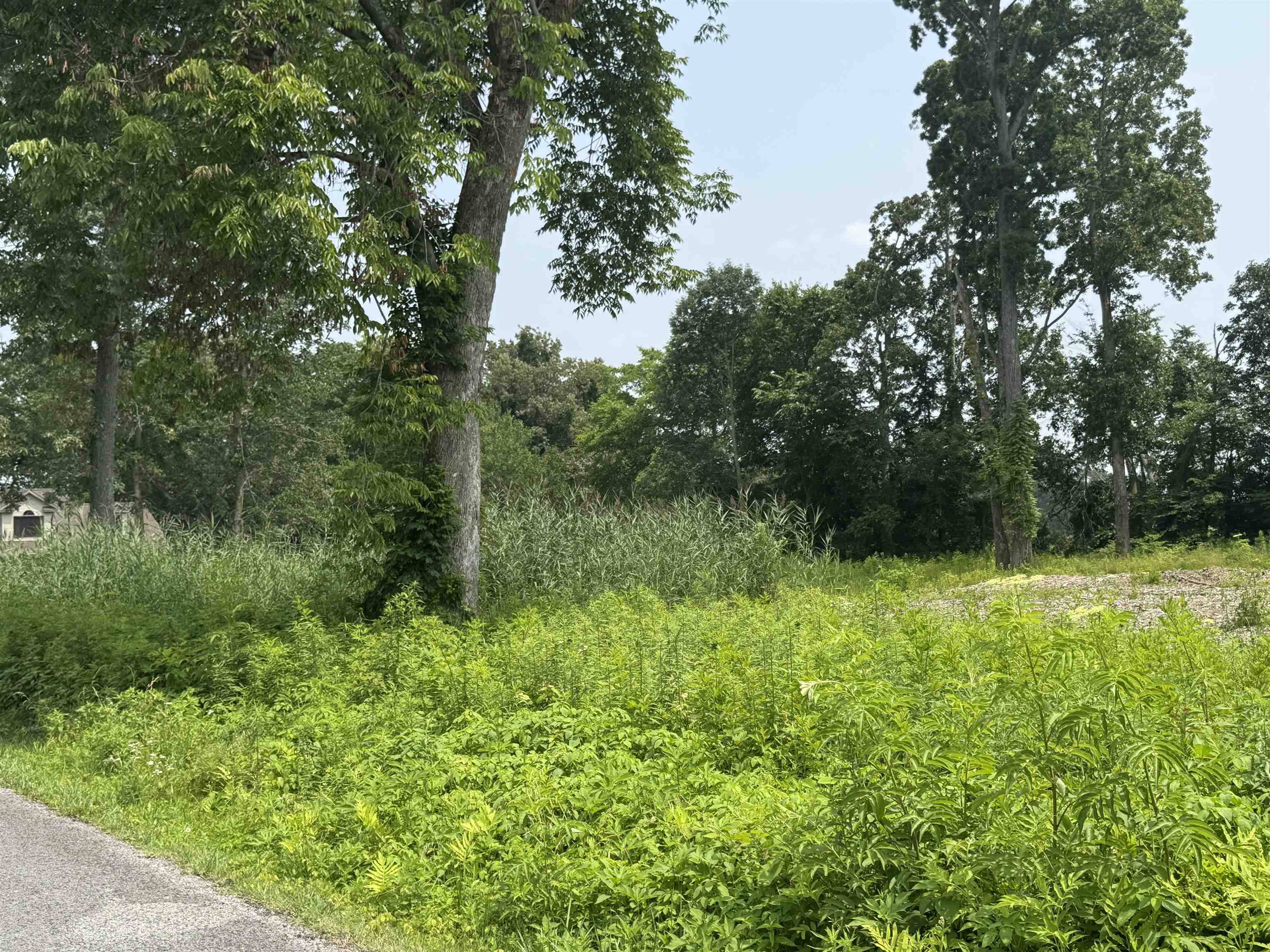 Murray, KY 42071,Lots 26, 27, 28 Oakwood Circle