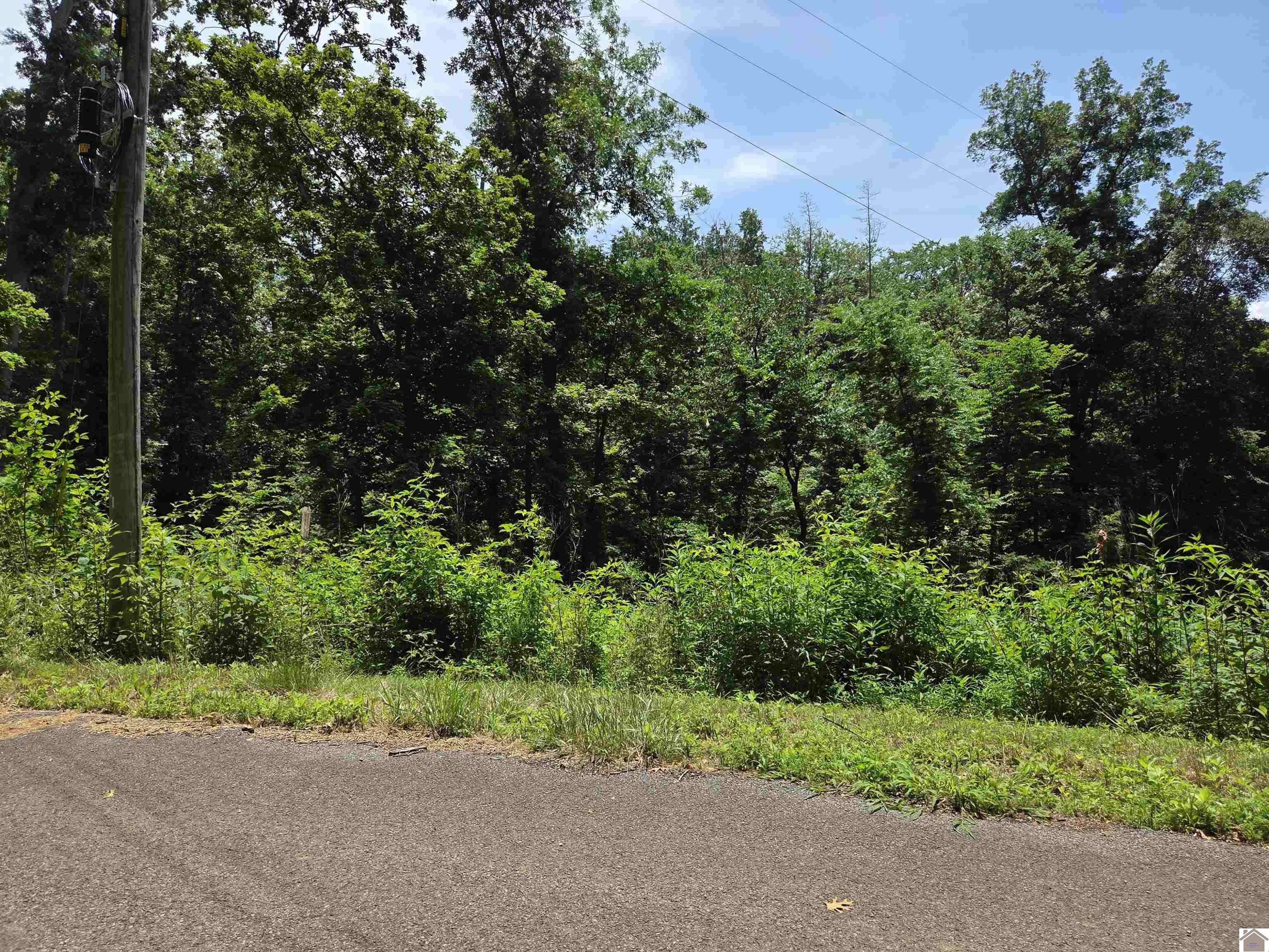 Cadiz, KY 42211,lot 68/69 Baker Lane