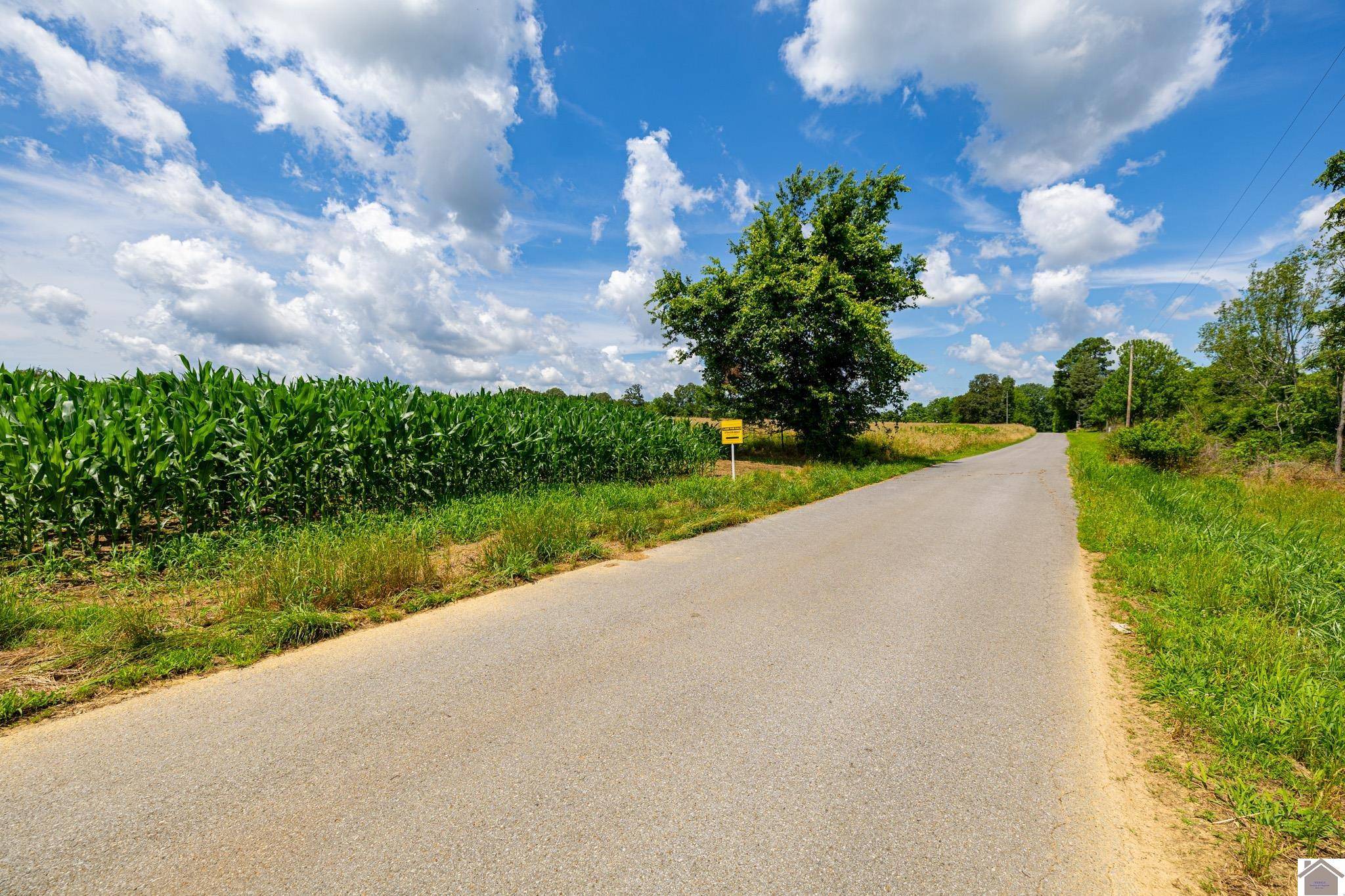 Murray, KY 42071,000 Cherry Corner Rd