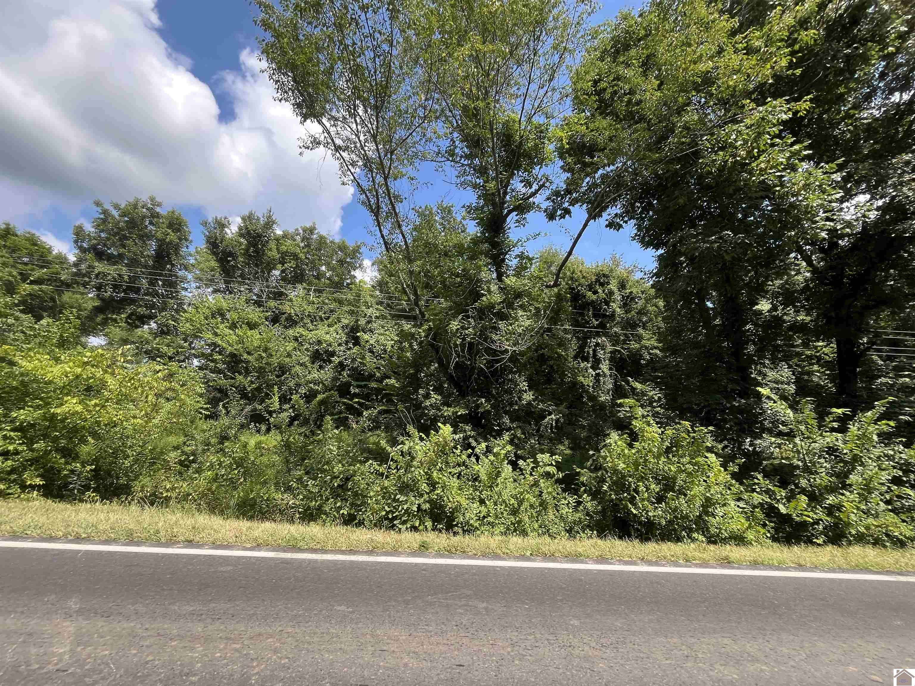 West Paducah, KY 42086,10065 Blandville Road