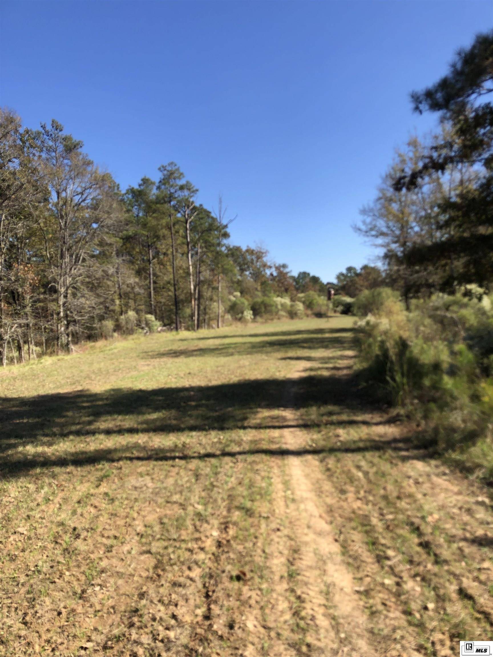 Sicily Island, LA 71368,000 BIG BUCK ROAD