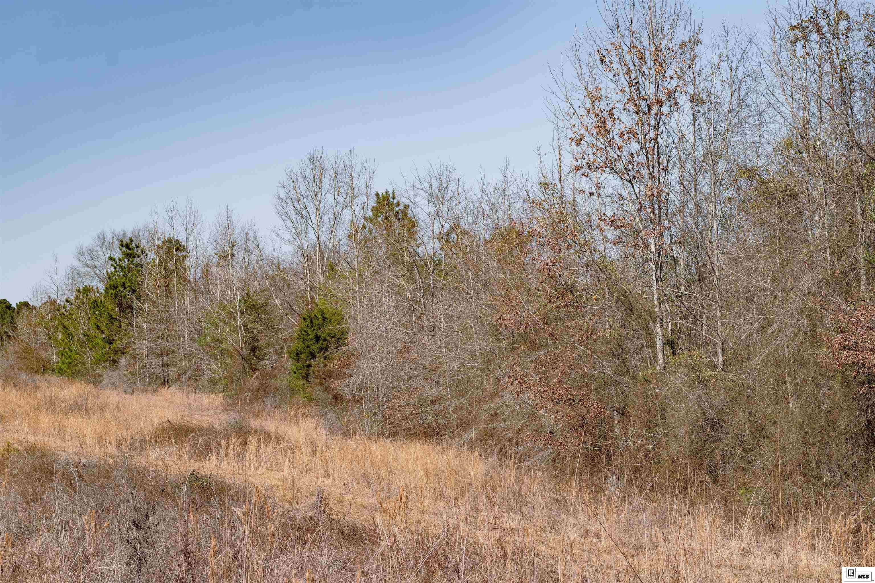 Ruston, LA 71270,0 CHINA GROVE ROAD