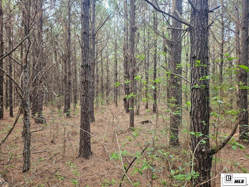 Ruston, LA 71270,000 COUNTY LINE ROAD