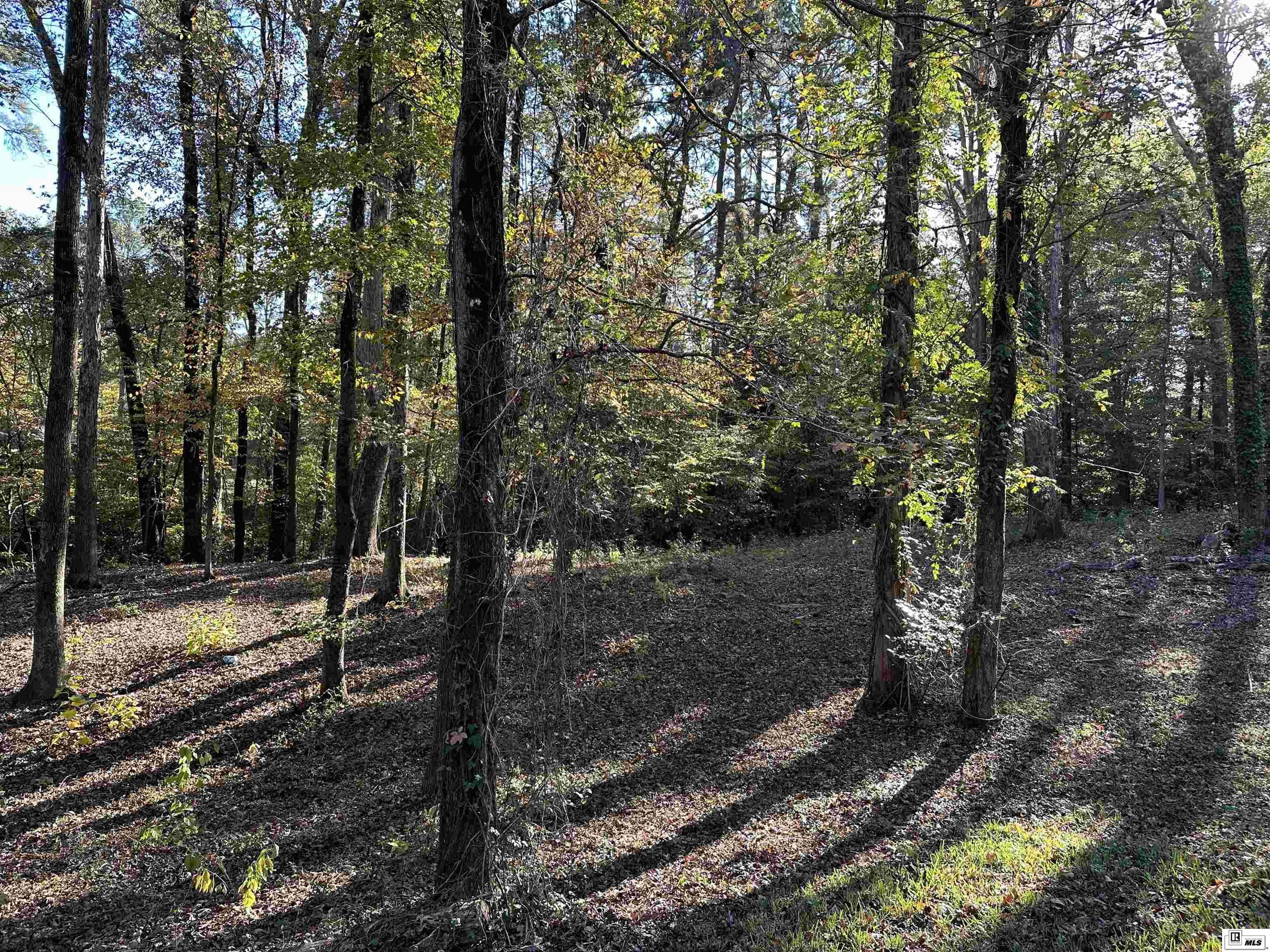Ruston, LA 71270,1411 CANEY LANE