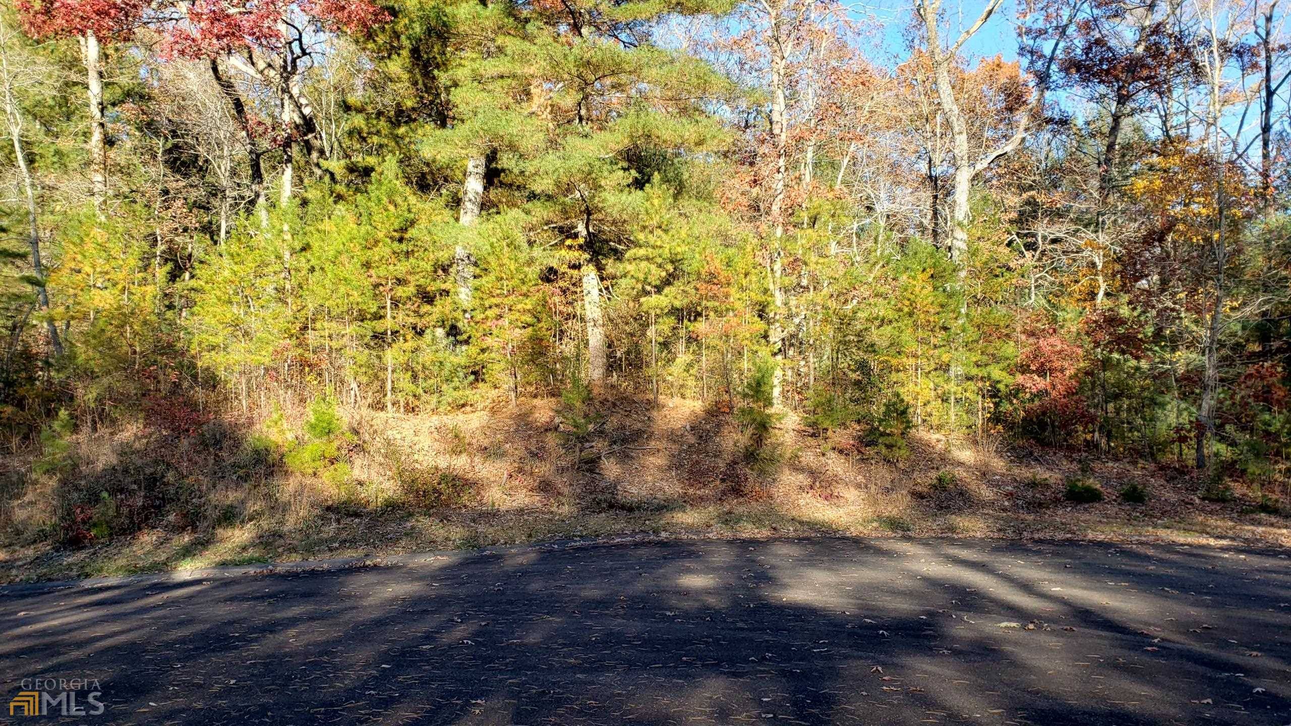 Ellijay, GA 30540,LOT 43 Cant Hook DR