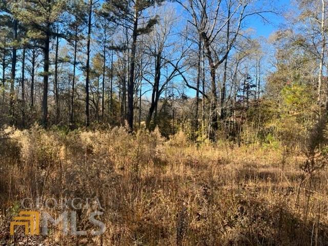 Roopville, GA 30170,0 Hwy 5 (4.5 acres) SW