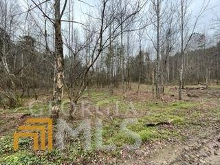 Ellijay, GA 30540,396 Bates RD