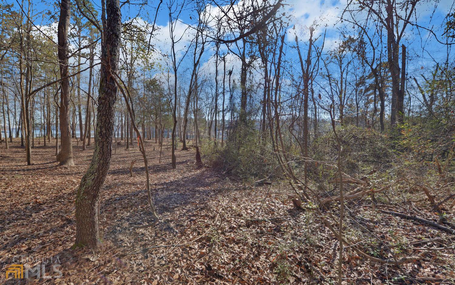 Hartwell, GA 30643,0 Carlota WAY #LOT C8