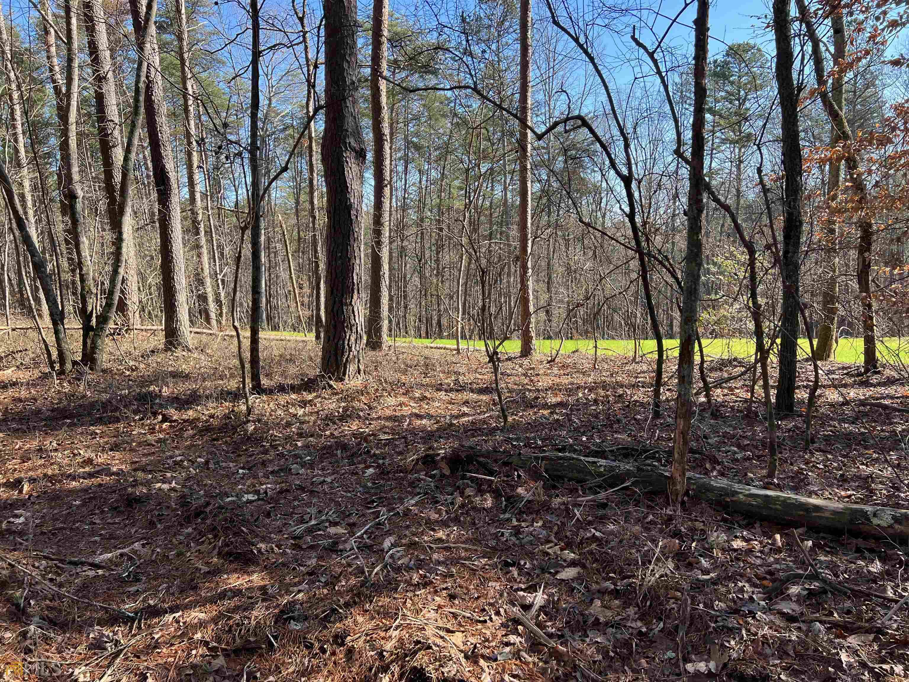 Ball Ground, GA 30107,LOT 14 Mineral Springs RD