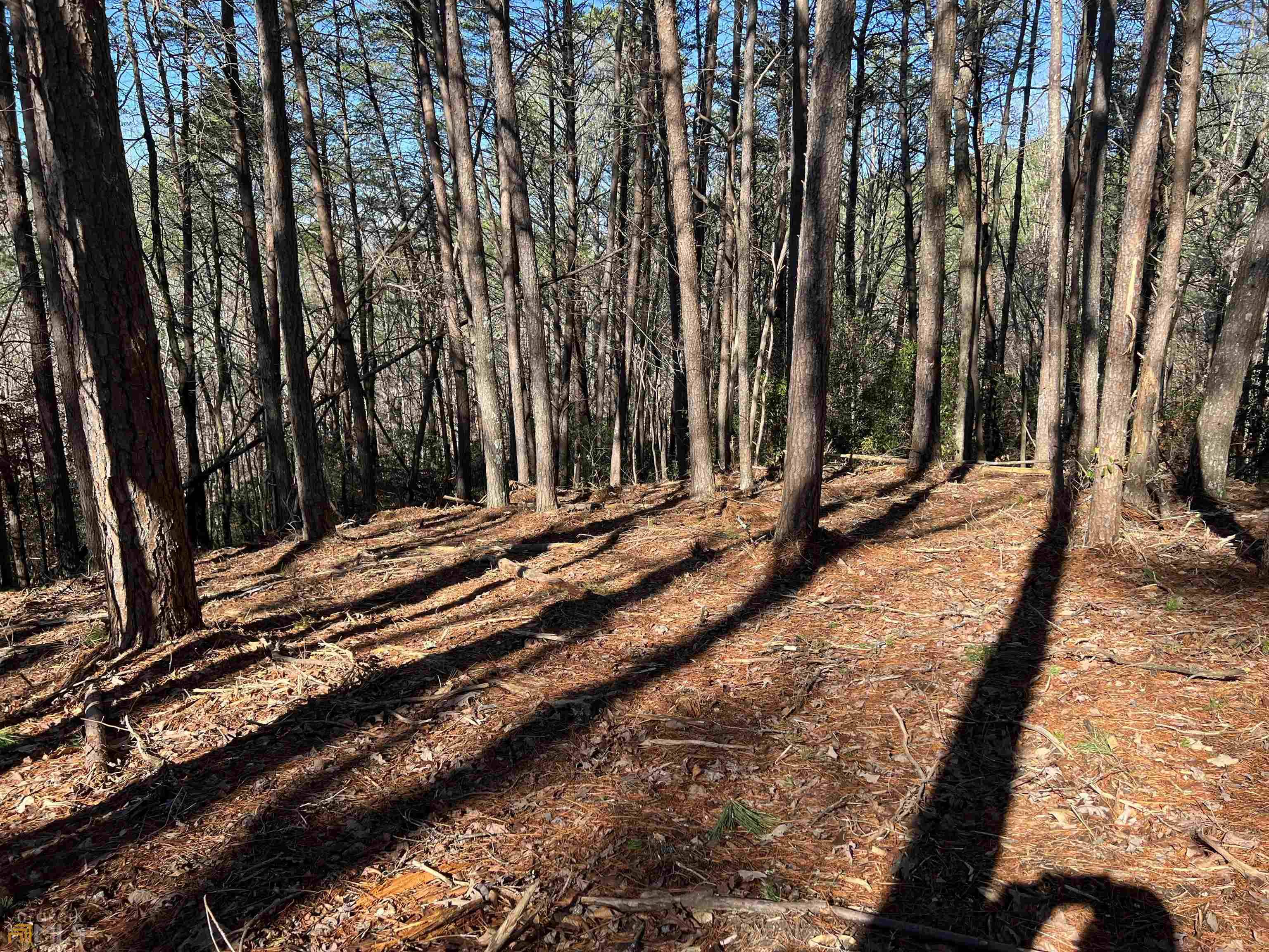 Ball Ground, GA 30107,LOT 14 Mineral Springs RD