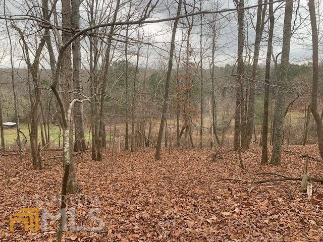 Dawsonville, GA 30534,5ACRE Etowah River RD