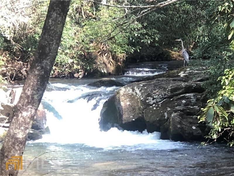 Cleveland, GA 30528,0 Gold Flume WAY