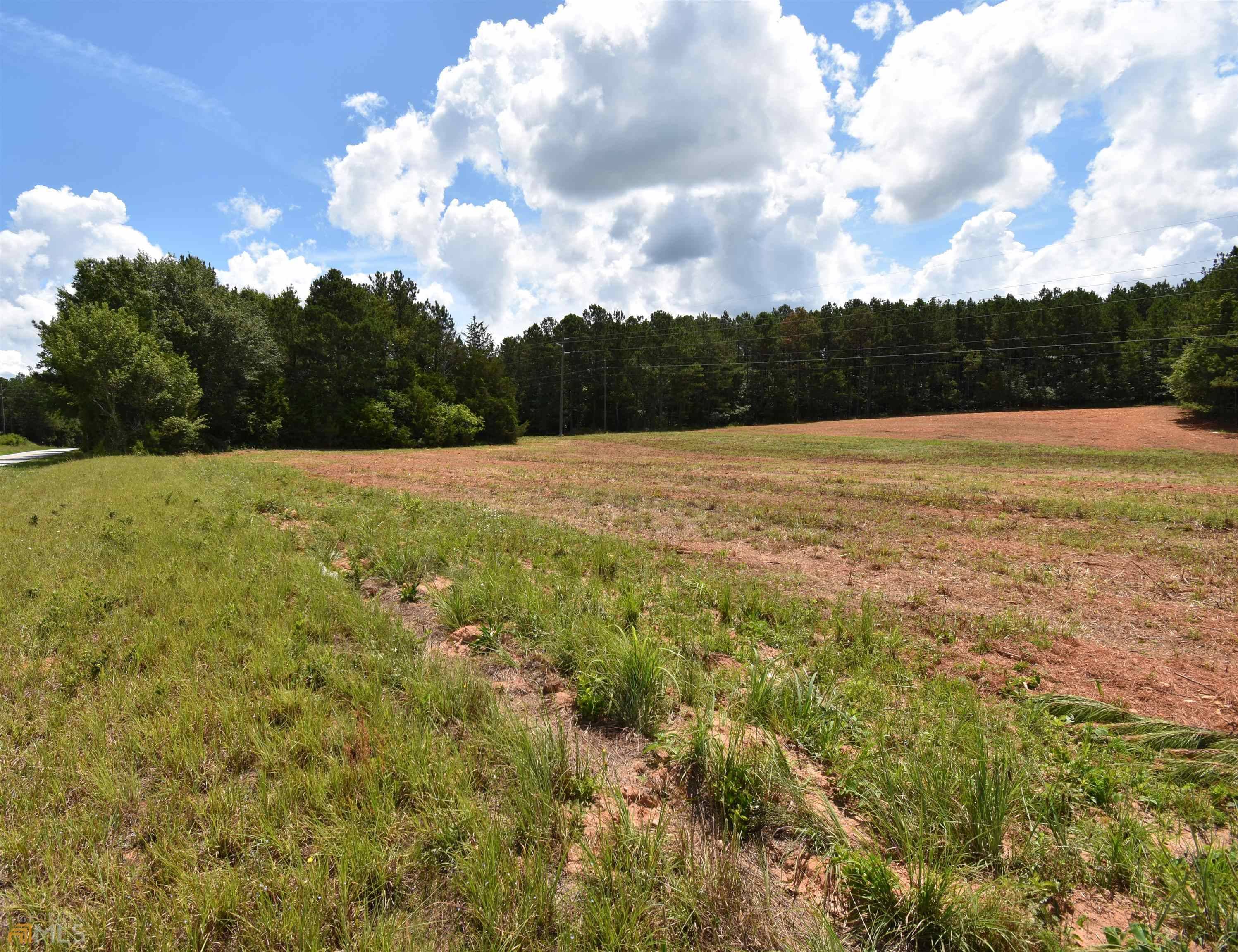 Crawford, GA 30630,232 Buddy Faust RD