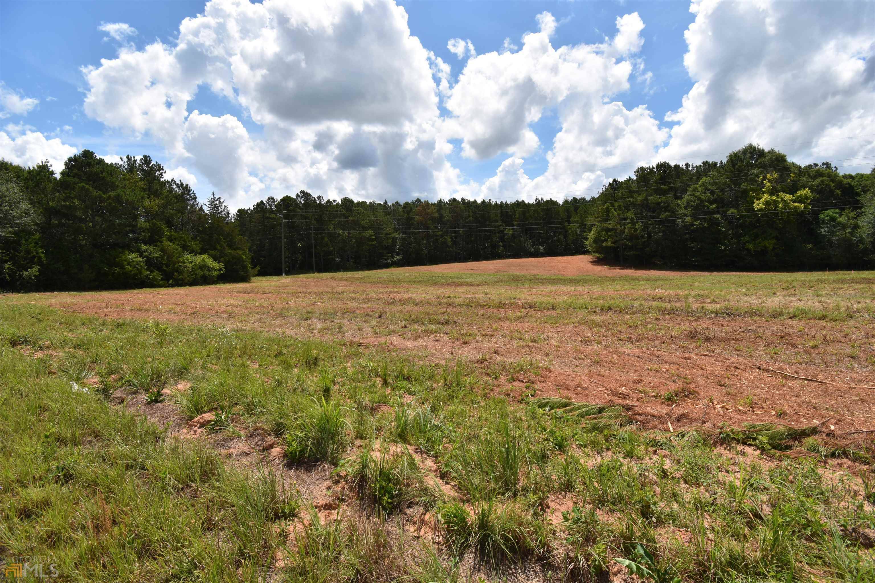 Crawford, GA 30630,232 Buddy Faust RD