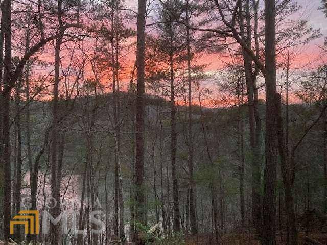 East Ellijay, GA 30540,510 Monet DR