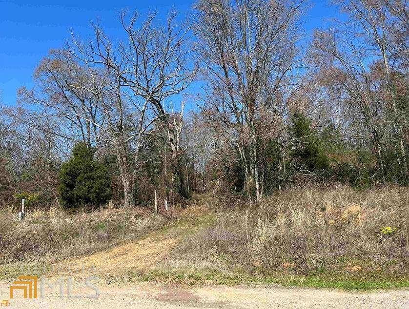 Homer, GA 30547,0 Christmas Tree Road, Lot 8