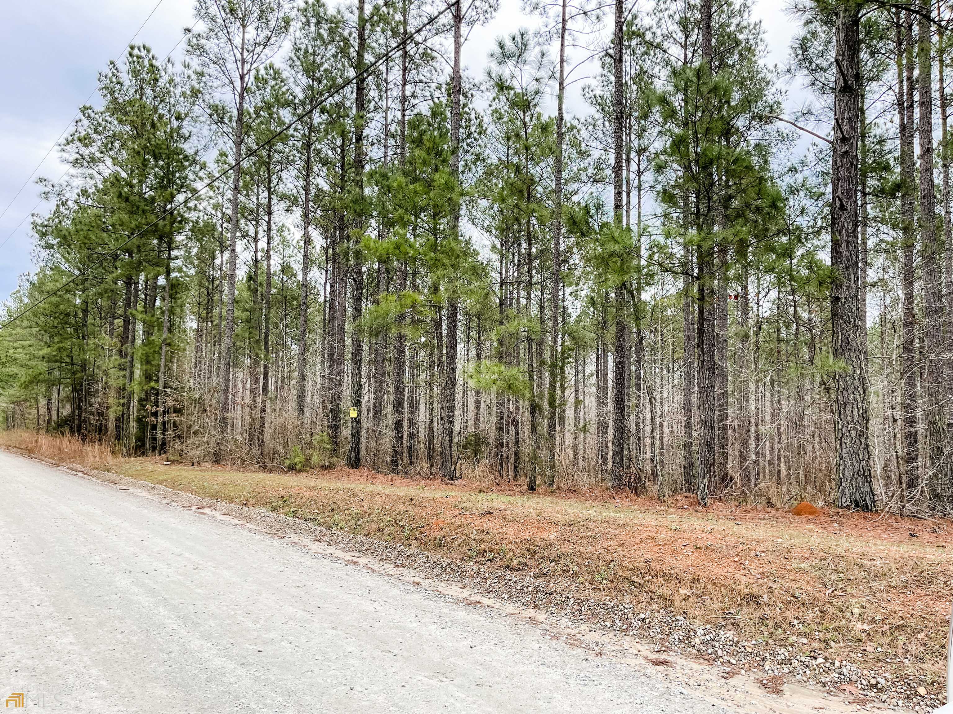 Monticello, GA 31064,54 ACRES Bailey Rd #TRACT 1