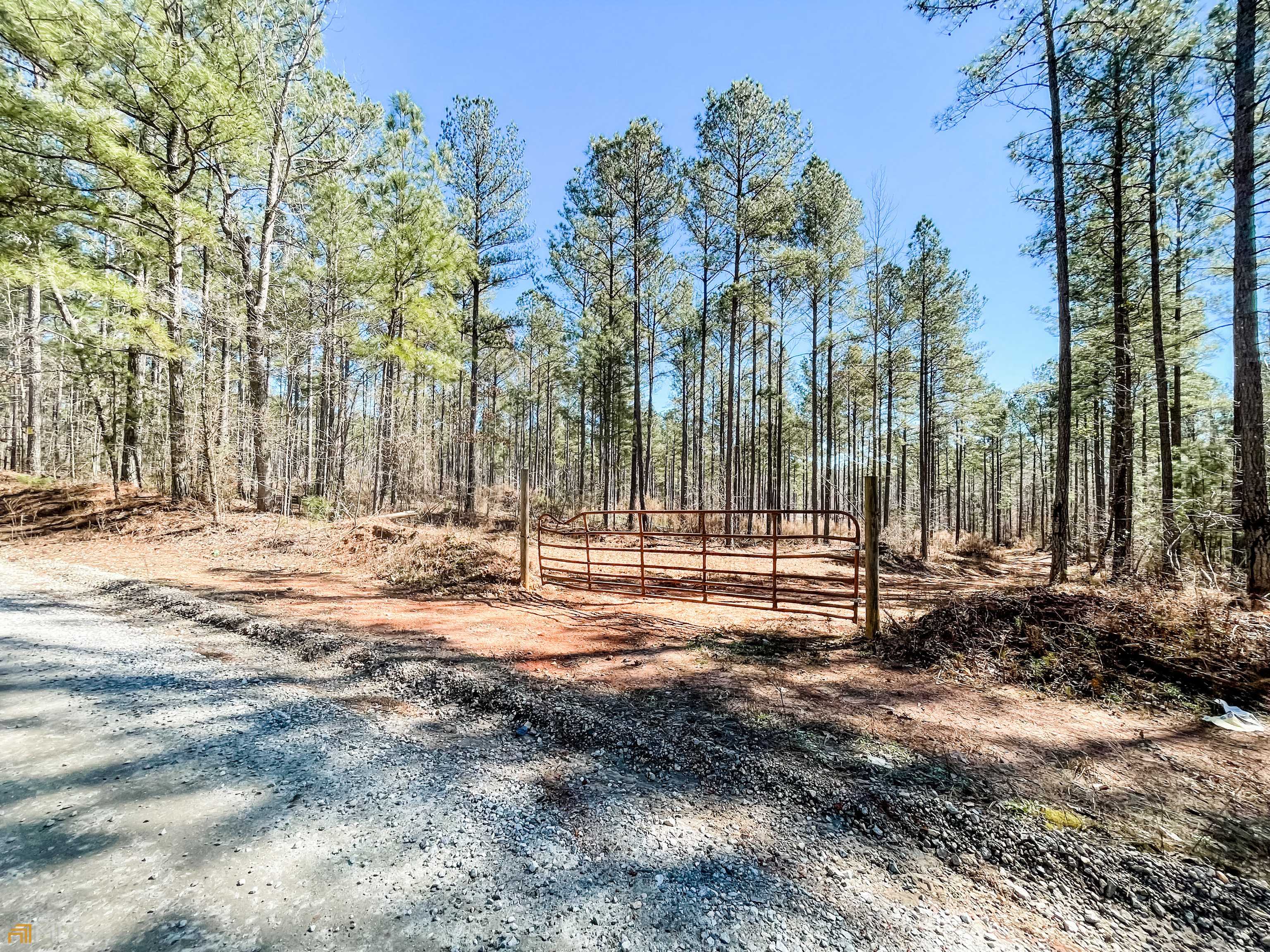 Monticello, GA 31064,54 ACRES Bailey Rd #TRACT 2