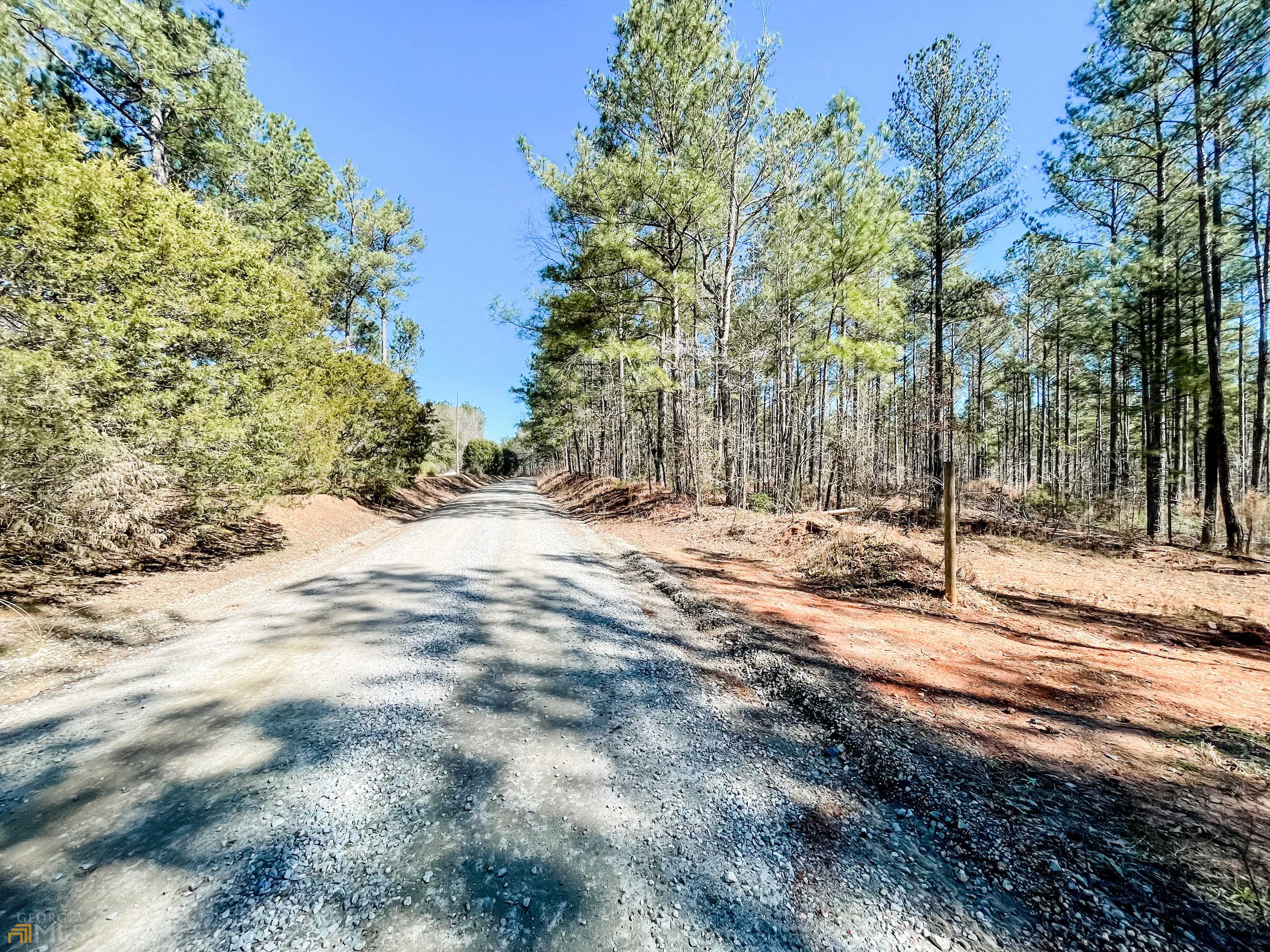 Monticello, GA 31064,54 ACRES Bailey Rd #TRACT 2