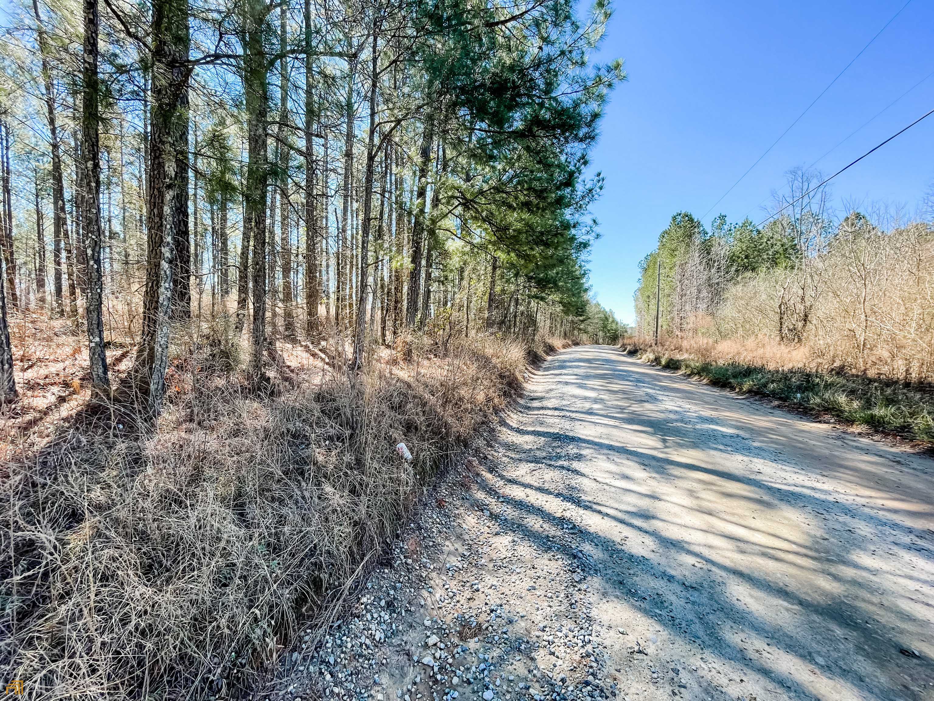 Monticello, GA 31064,46 ACRES Bailey Rd #TRACT 3