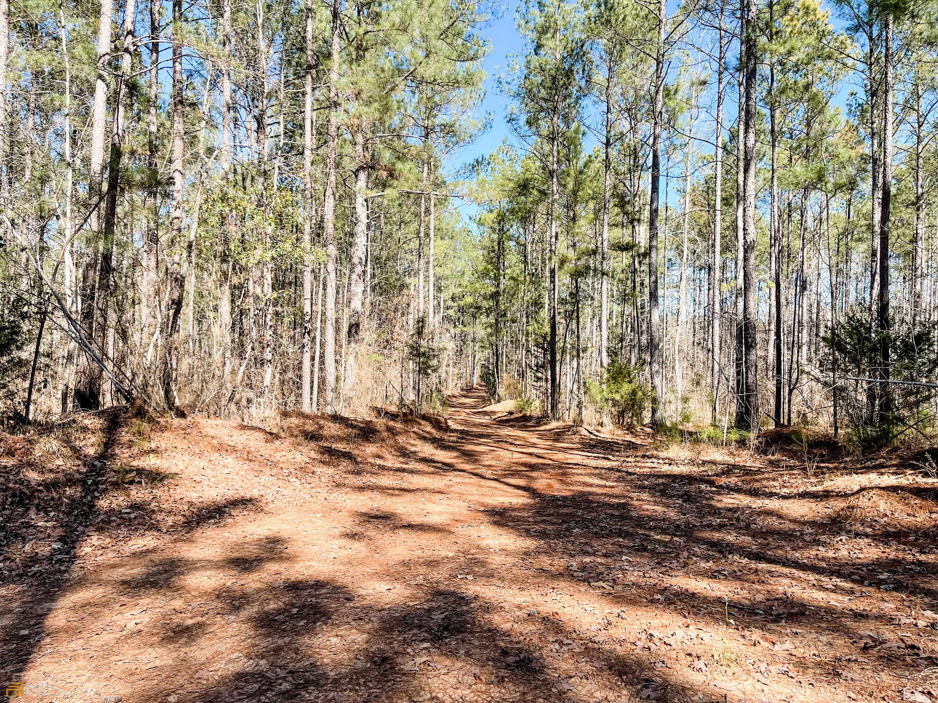 Monticello, GA 31064,46 ACRES Bailey Rd #TRACT 3