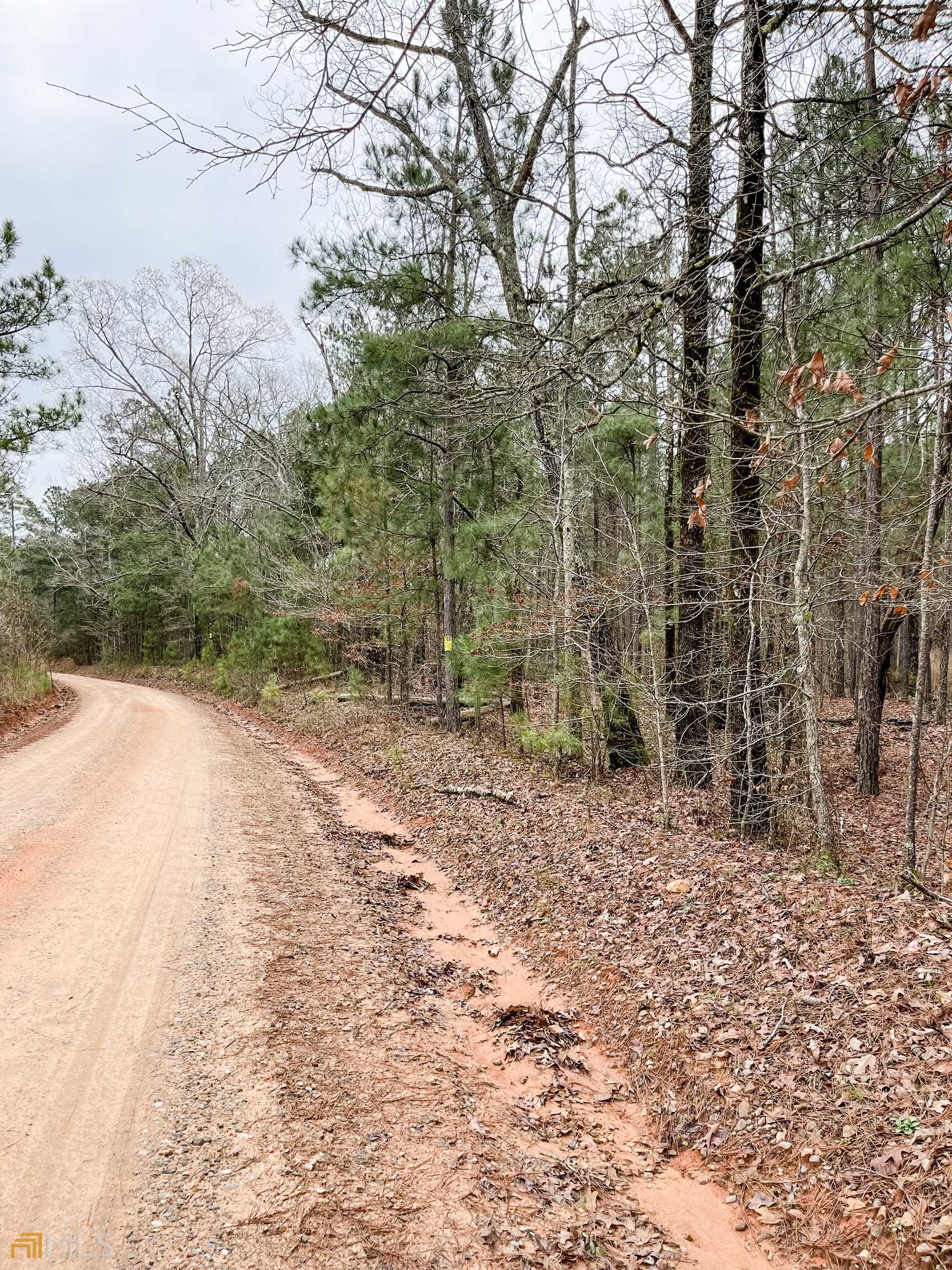 Monticello, GA 31064,45 ACRES Bailey Rd #TRACT 4