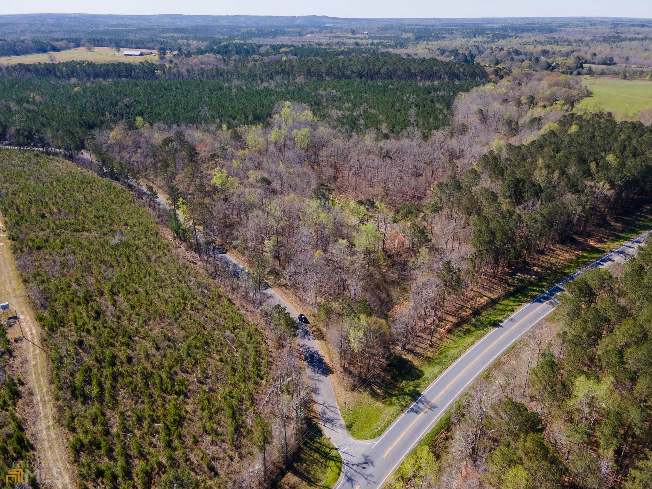 Milner, GA 30257,LOT 1 Hwy 36