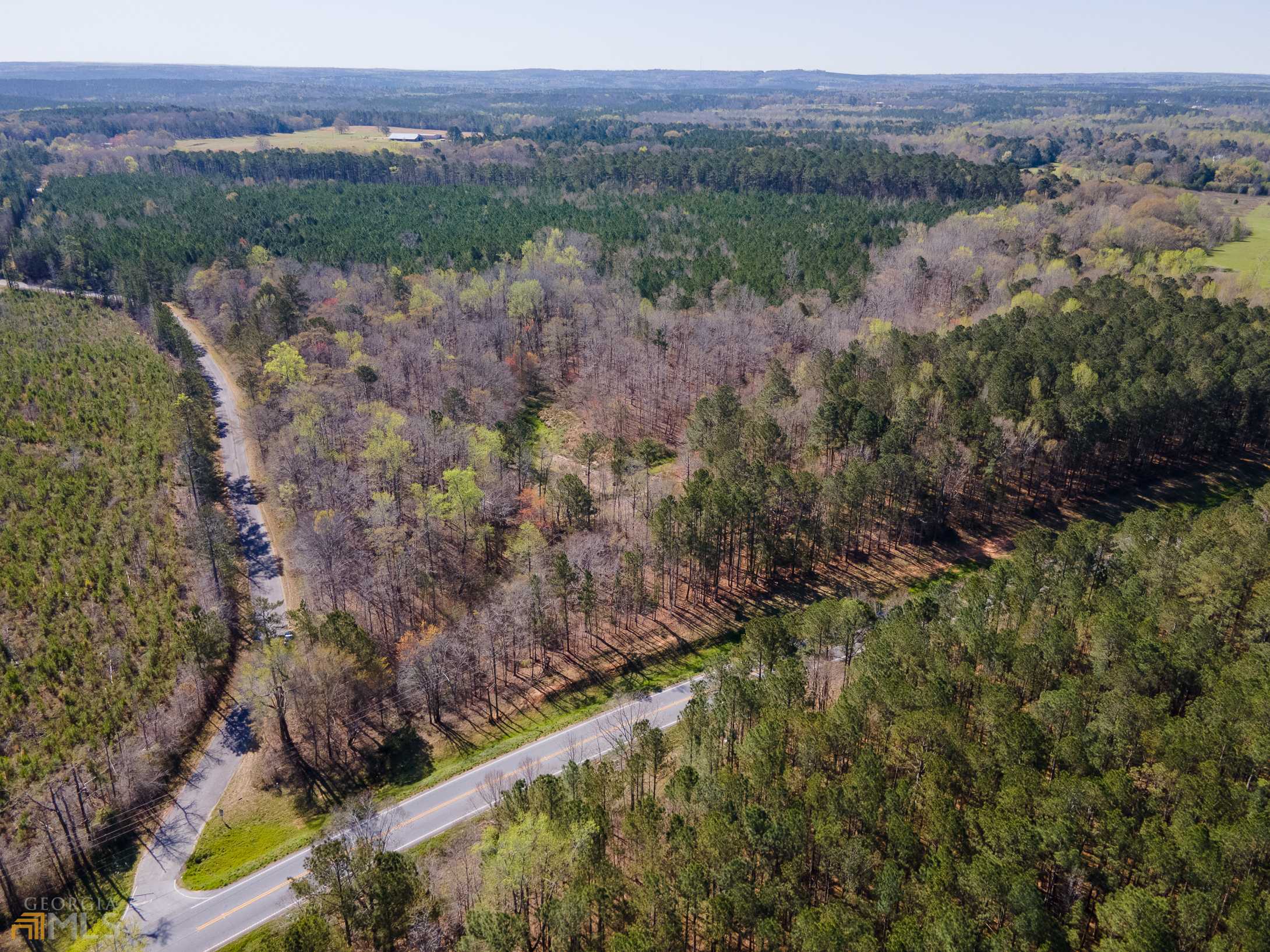 Milner, GA 30257,LOT 3 Hwy 36