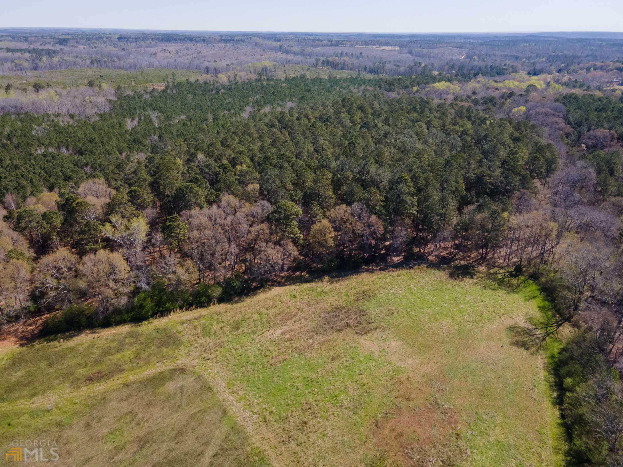 Milner, GA 30257,LOT 3 Hwy 36