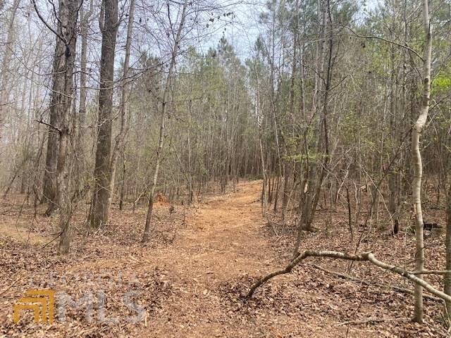 Barnesville, GA 30204,LOT 8 Eady Creek Road