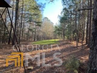 Concord, GA 30206,3 ACRES New Hebron Church RD